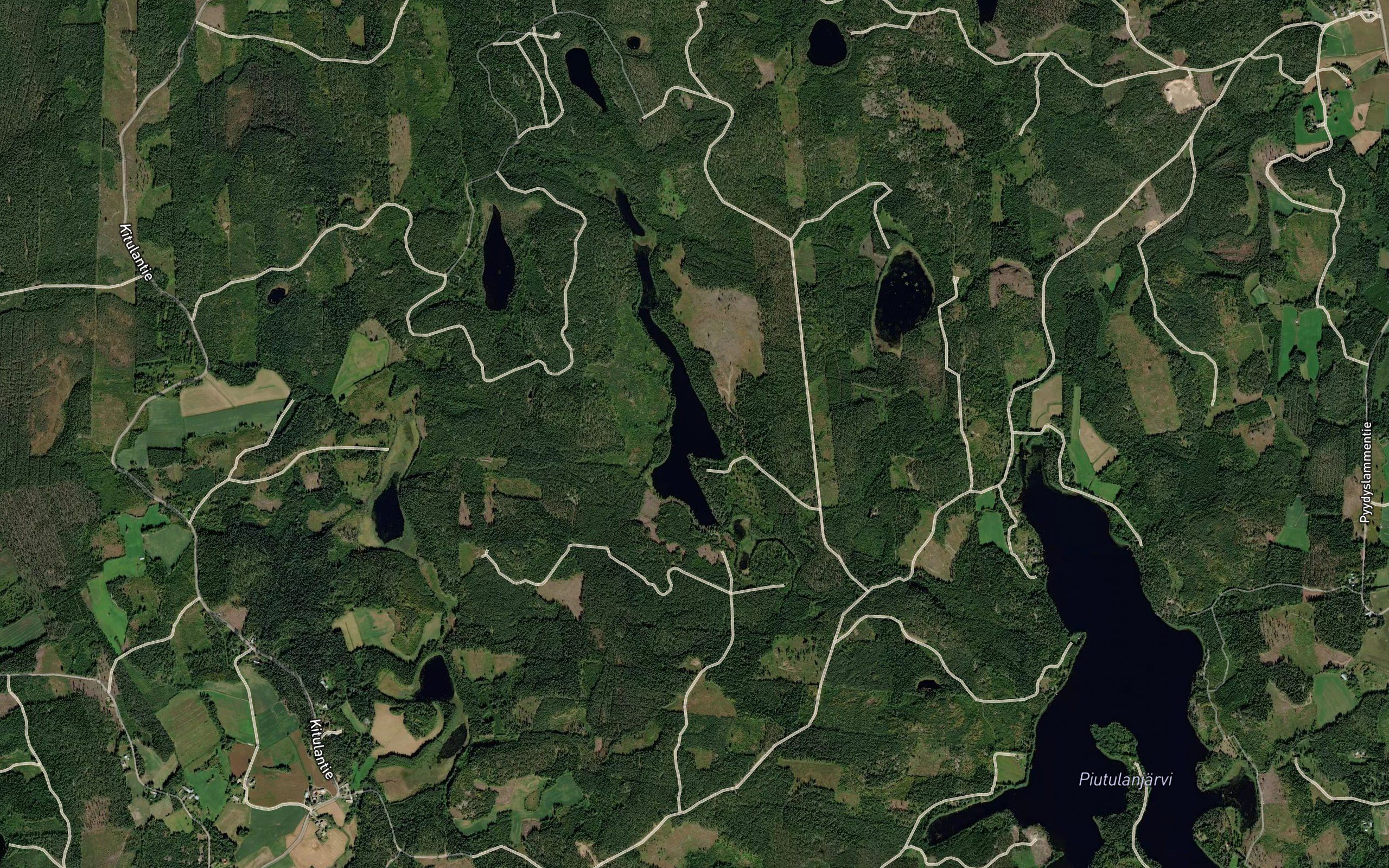 Kaitua