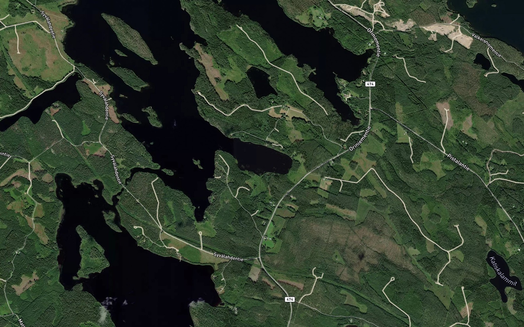 Satellite map of the Siikalahti