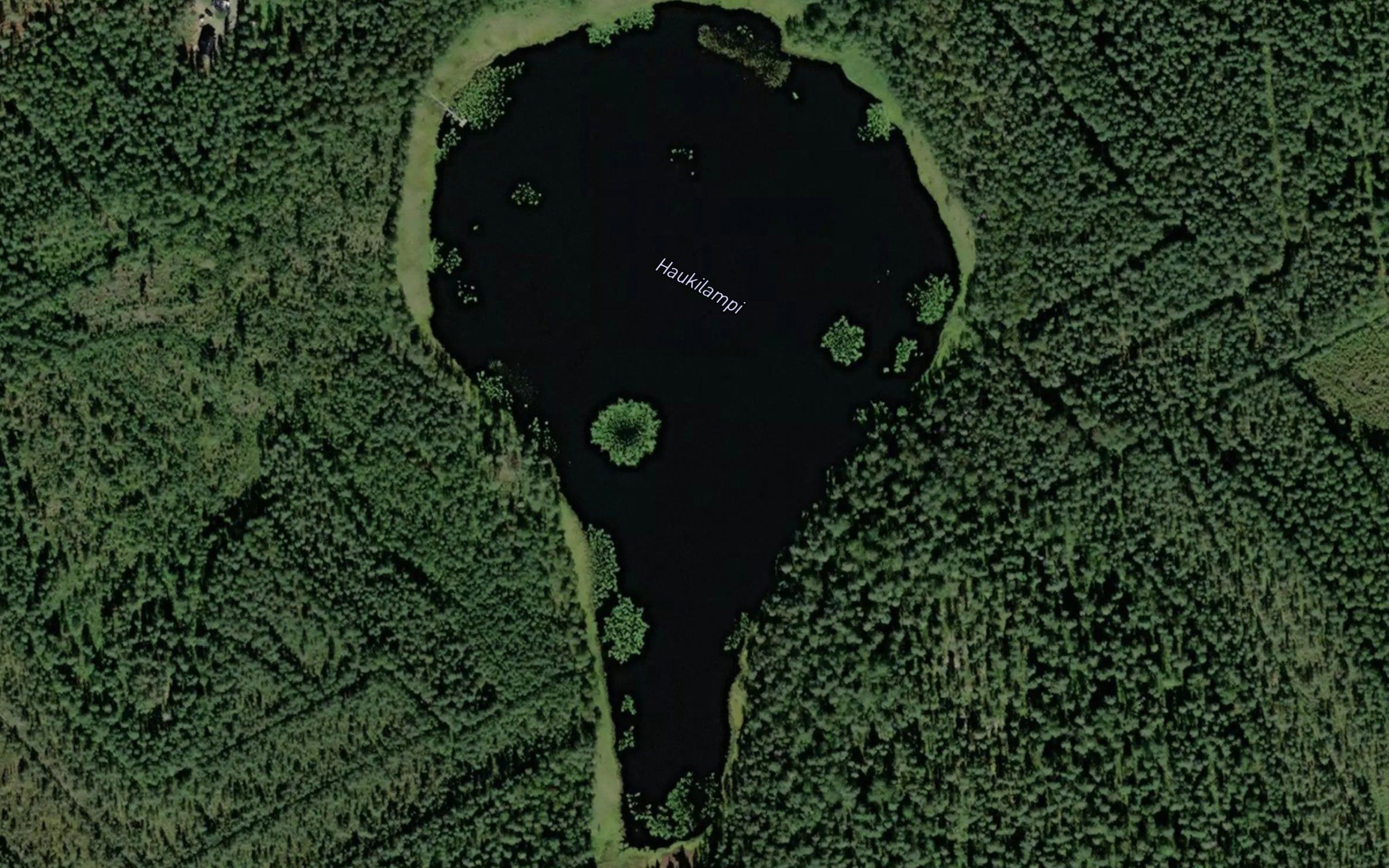Haukilampi