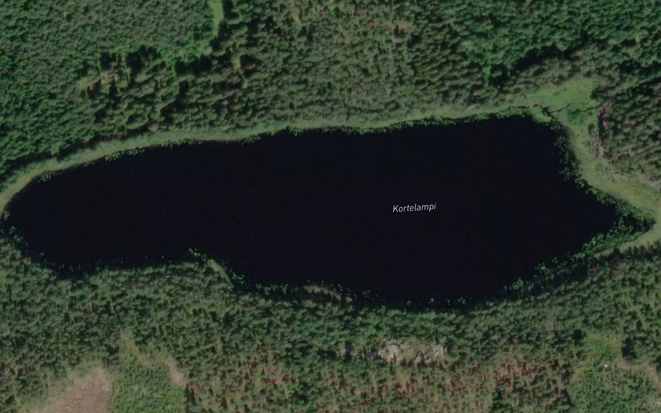 Kortelampi