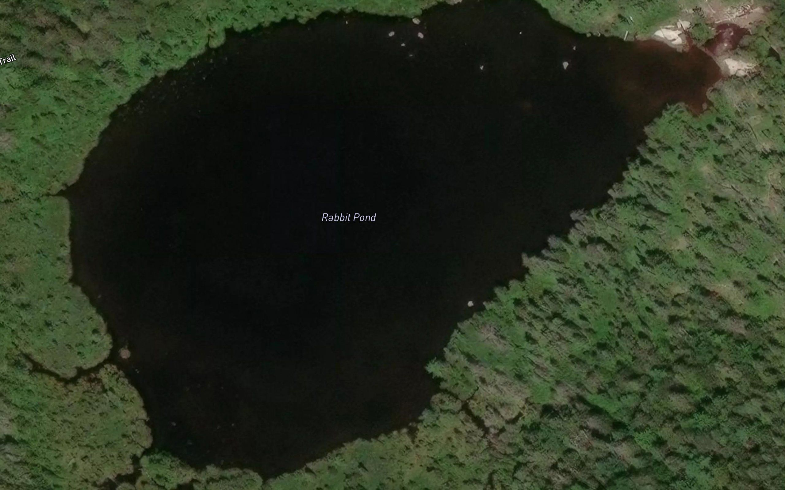 Rabbit Pond