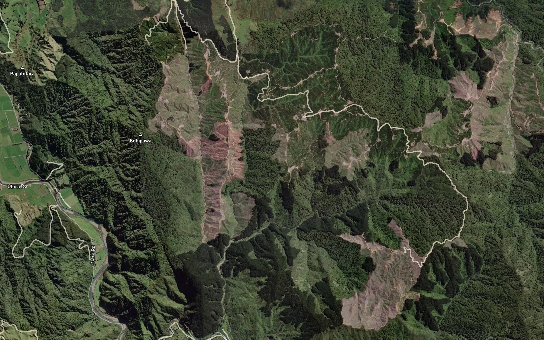 Satellite map of the Te Puni Stream