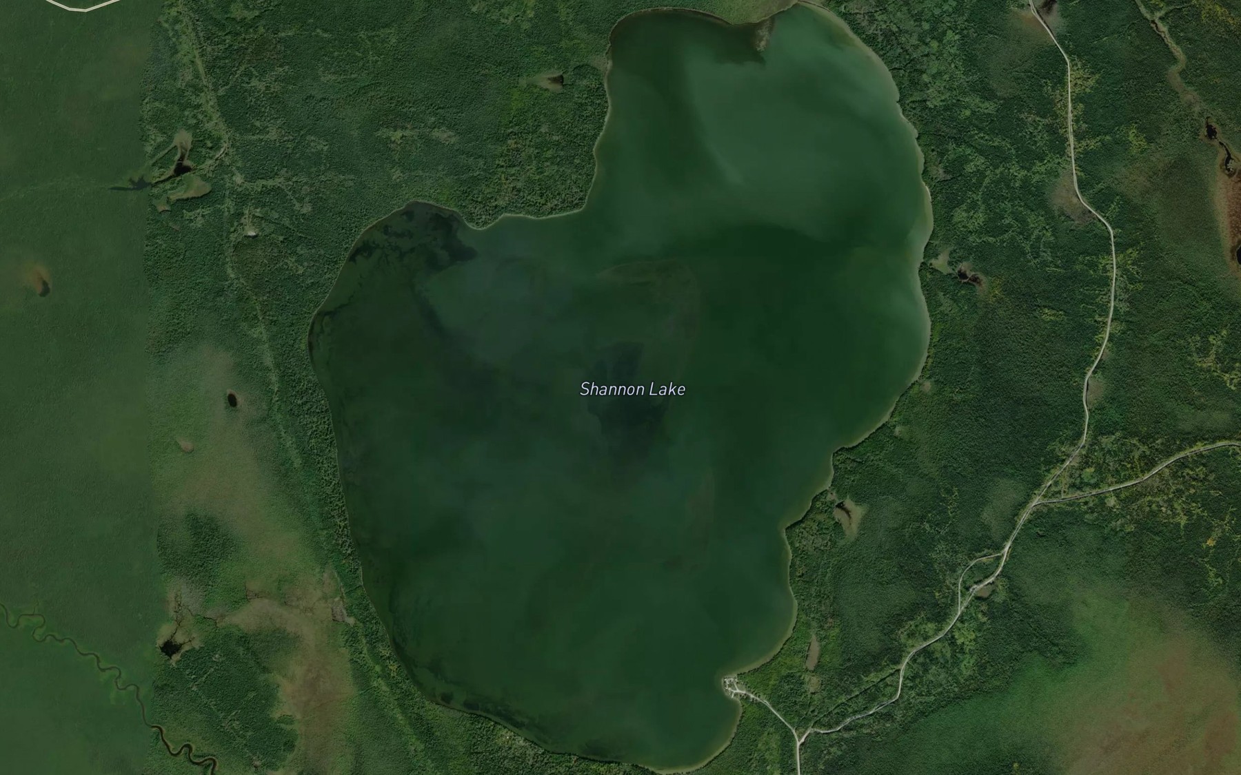Satellite map of the Shannon Lake