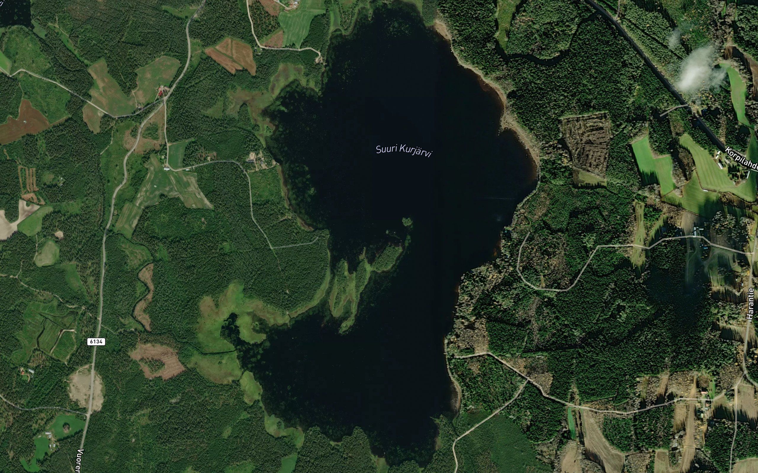 Suuri Kurjarvi