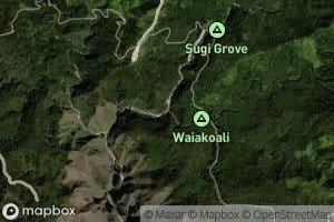 Waiakoali Stream