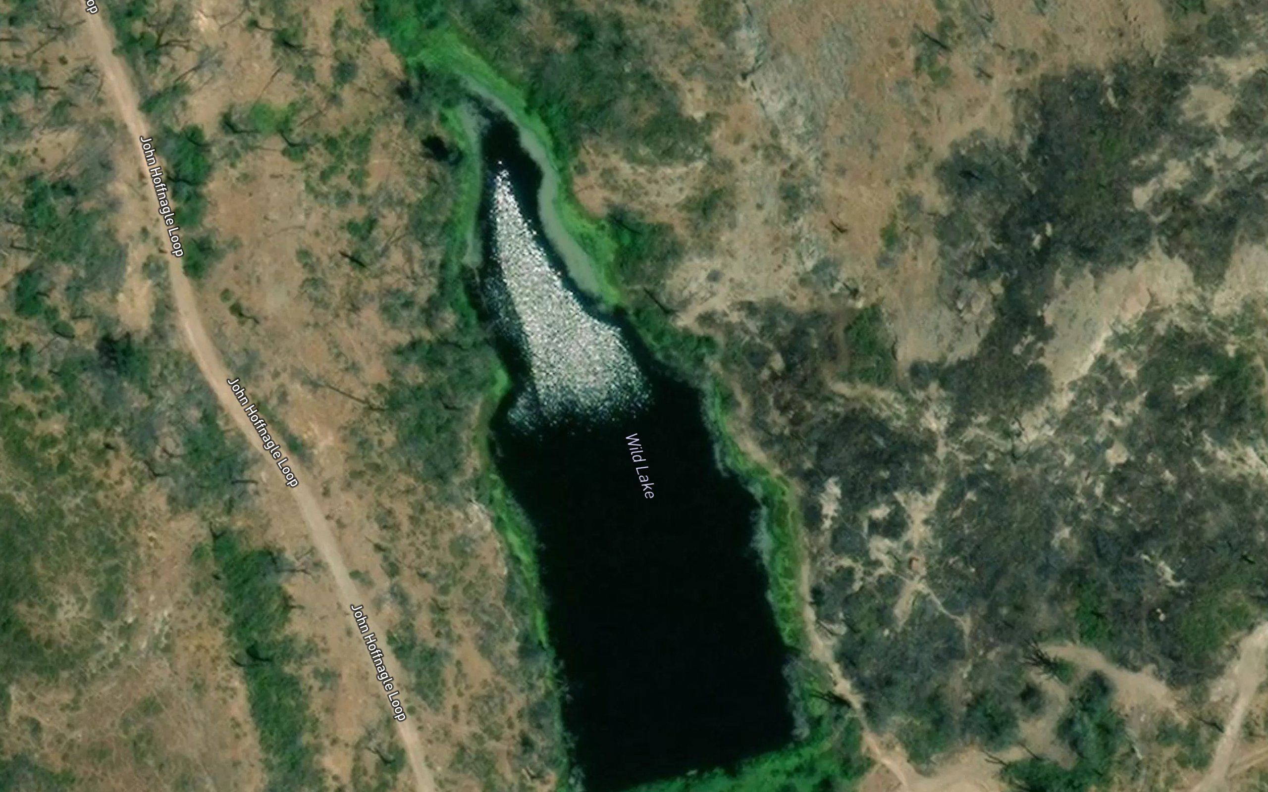 Wild Lake