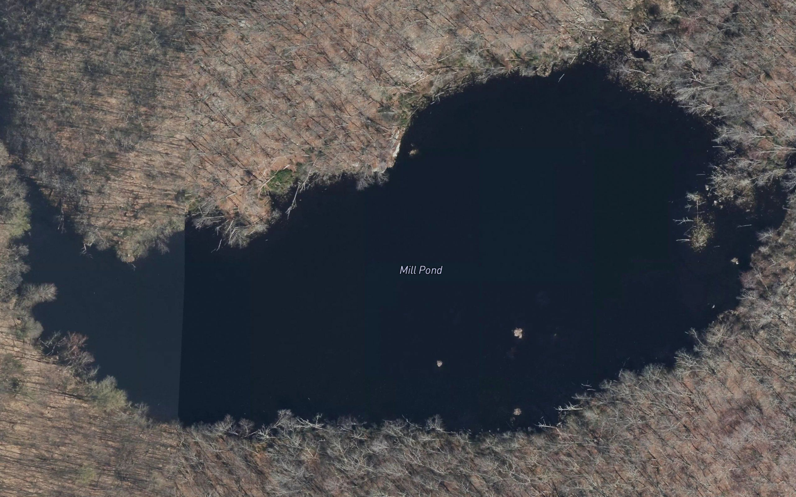 Mill Pond