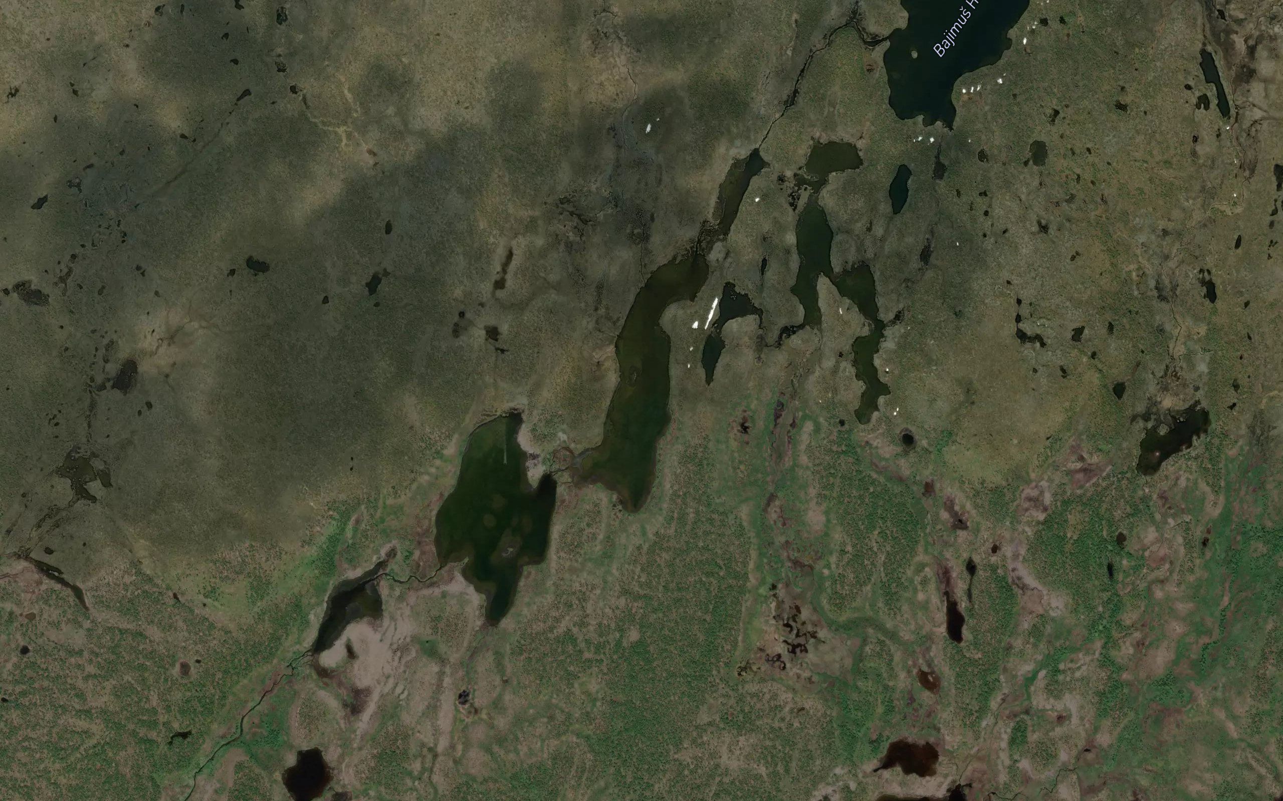 Gaskkamus Havgajavri