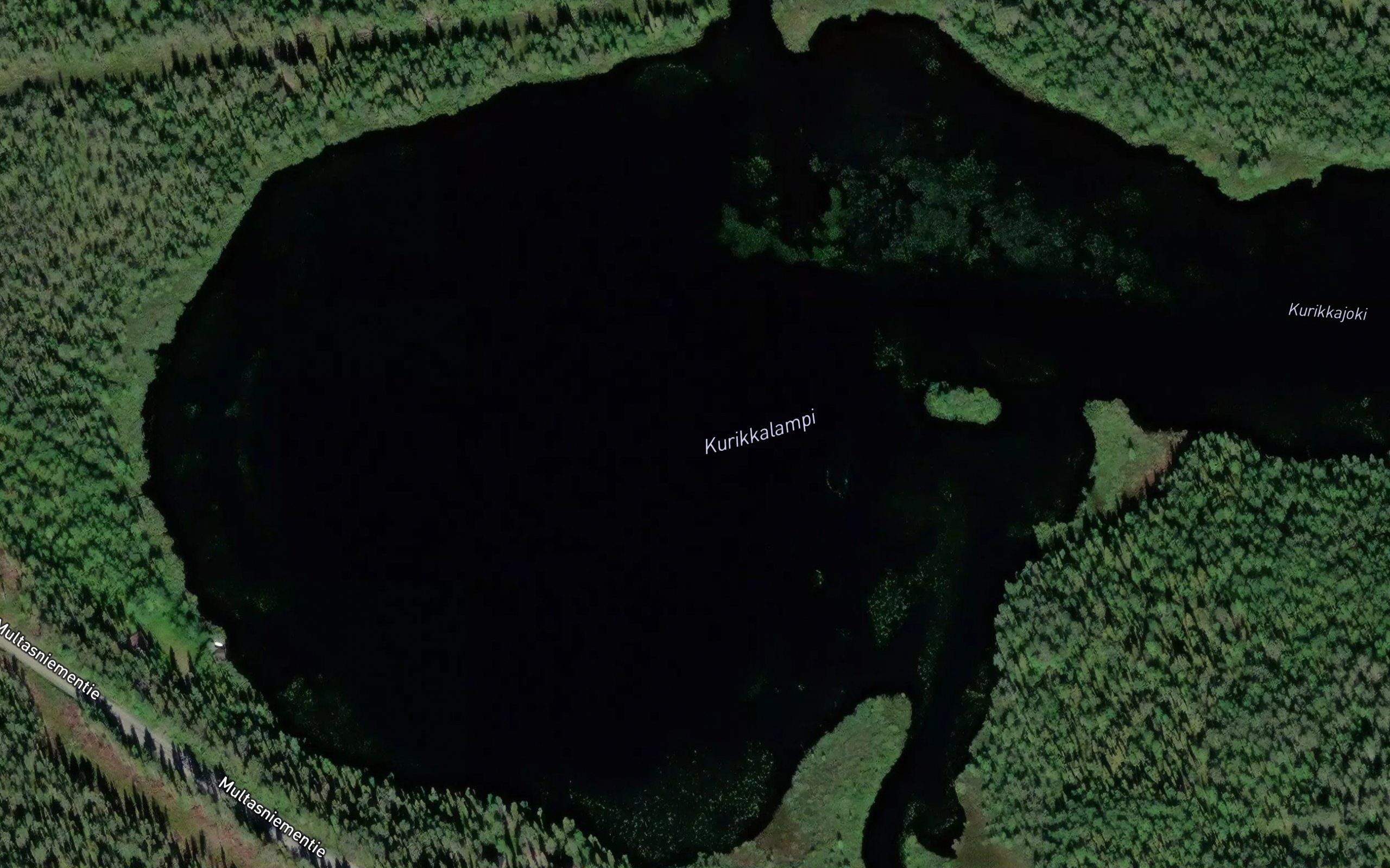 Kurikkalampi