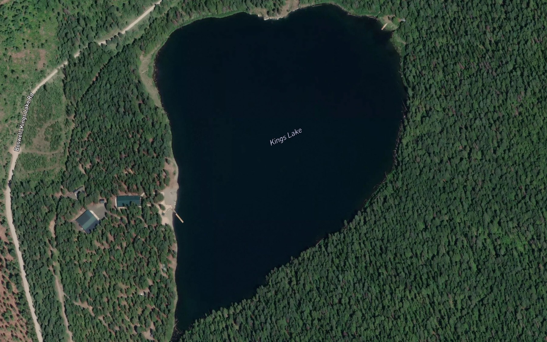 Satellite map of the Kings Lake