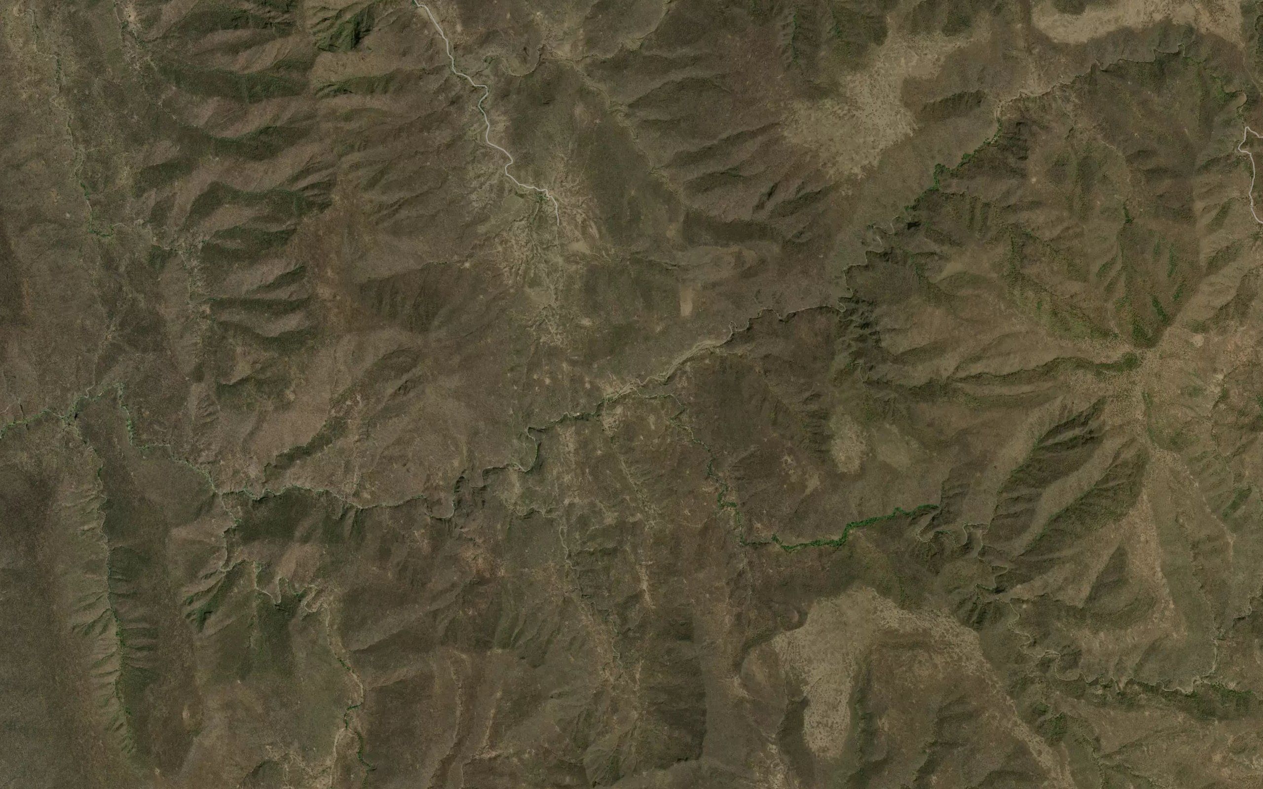 El Palmillo