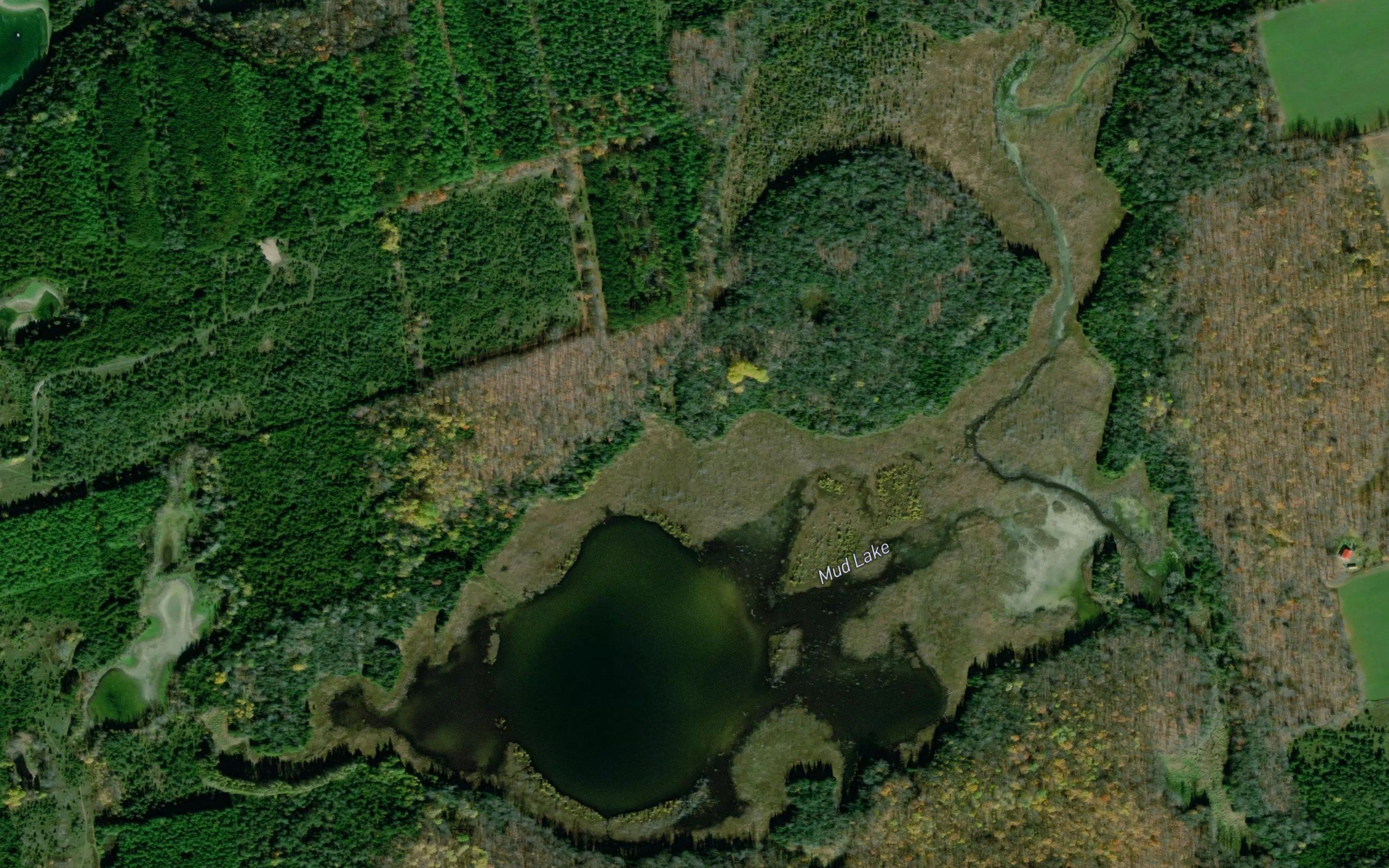 Mud Lake