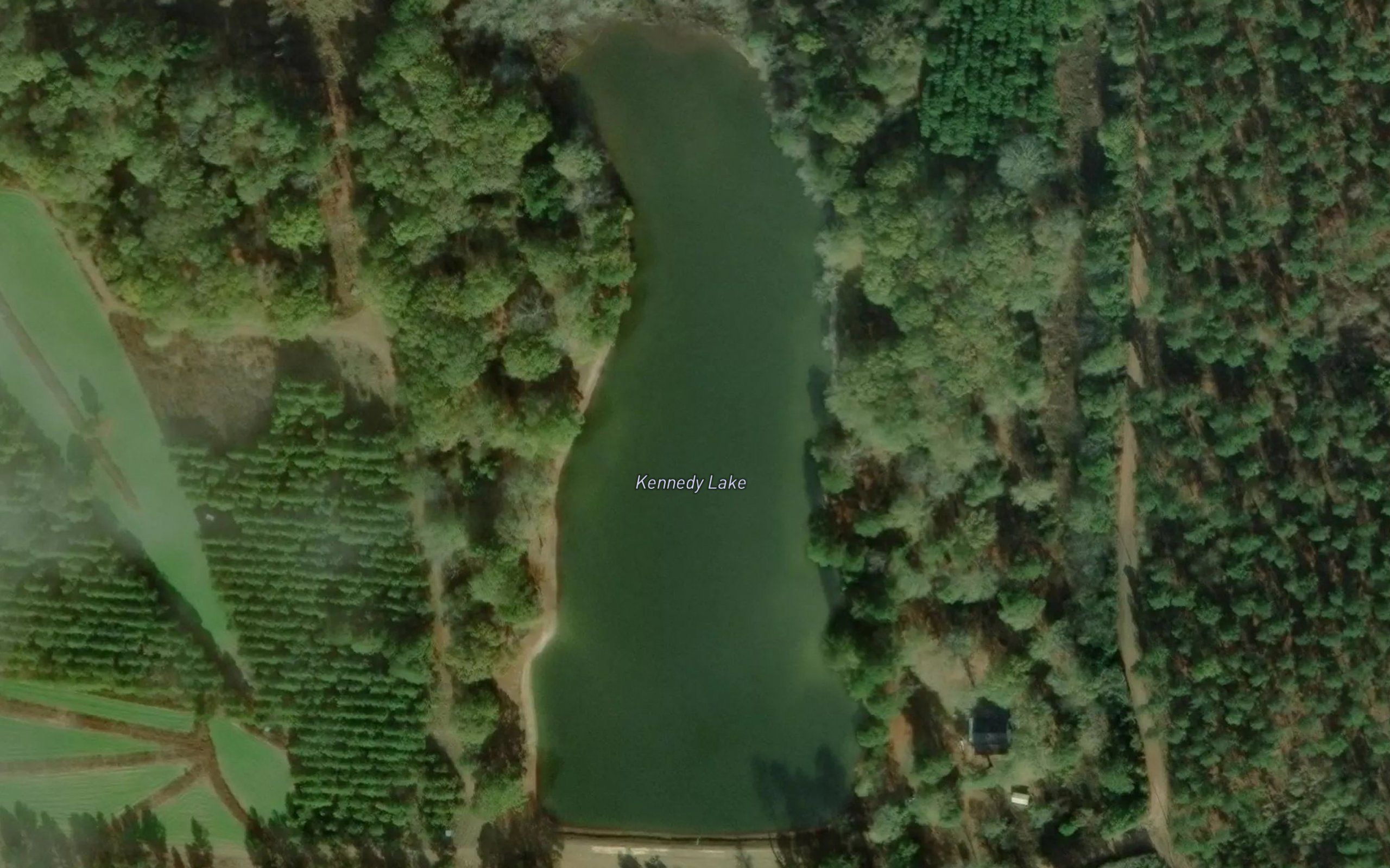 Kennedy Lake
