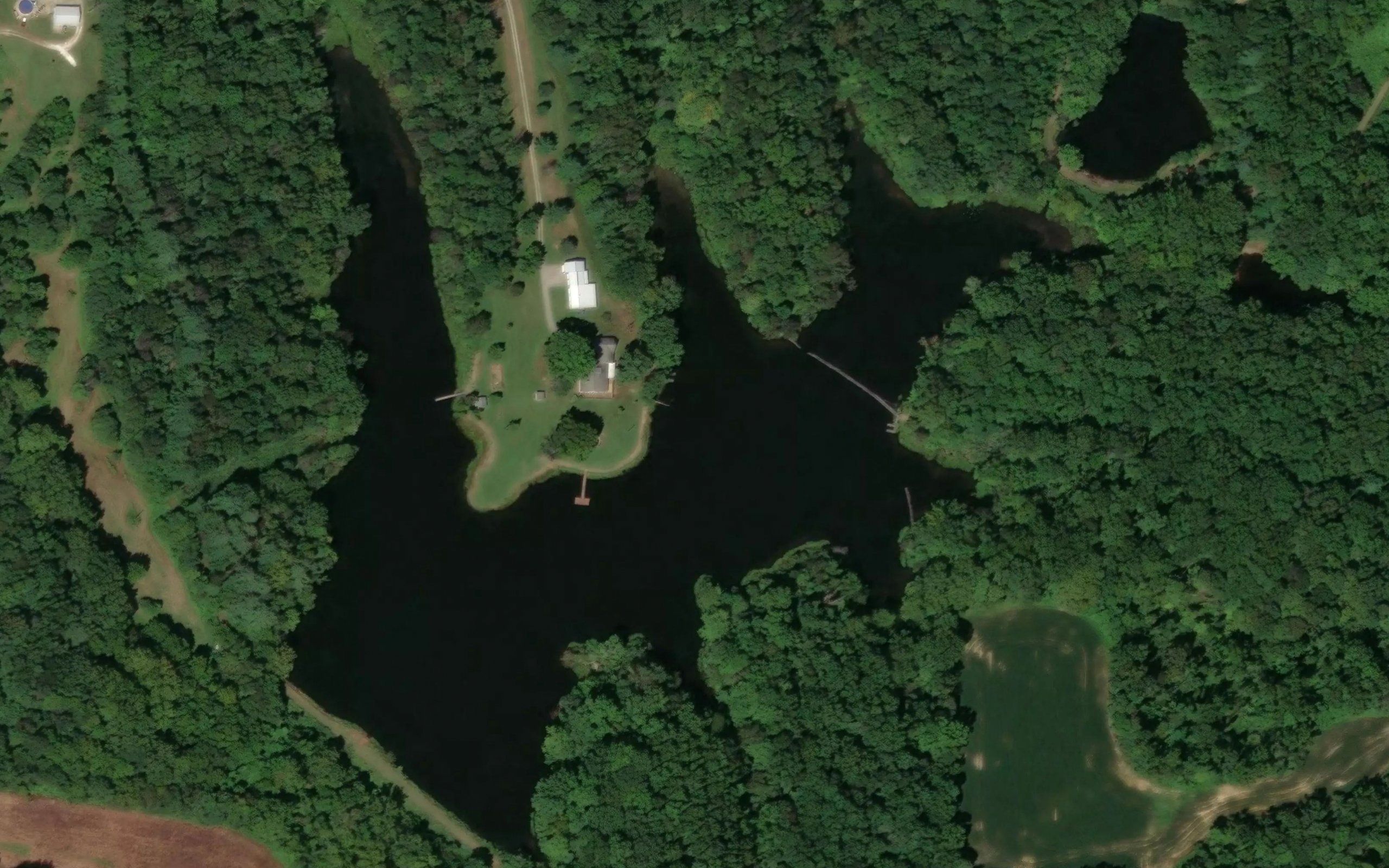 Wonder Pond