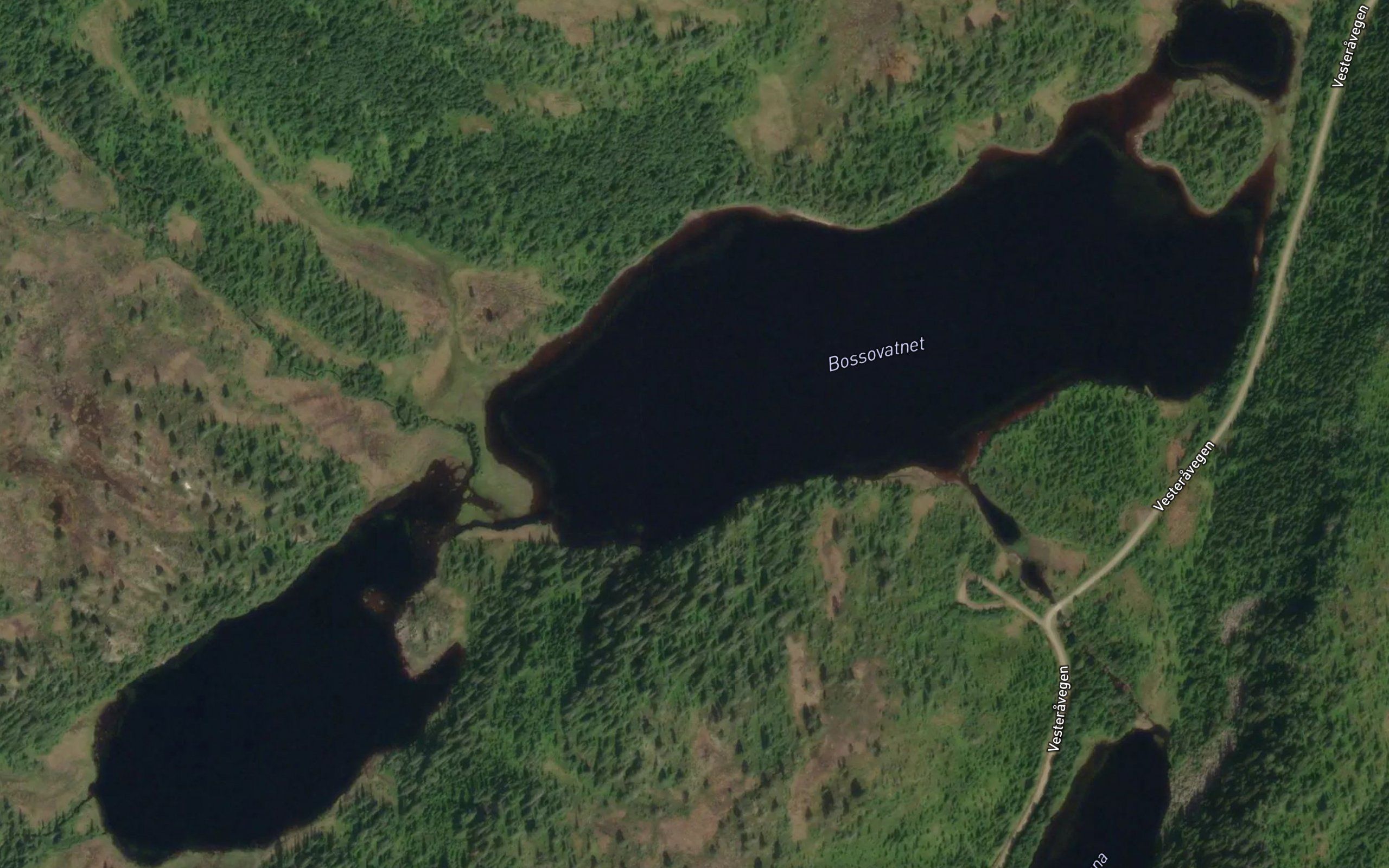 Bosovatnet
