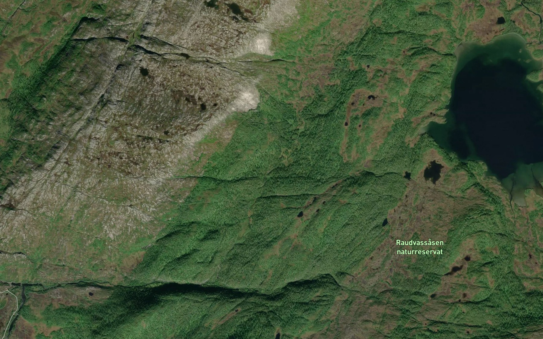 Satellite map of the Raudvassasbekken