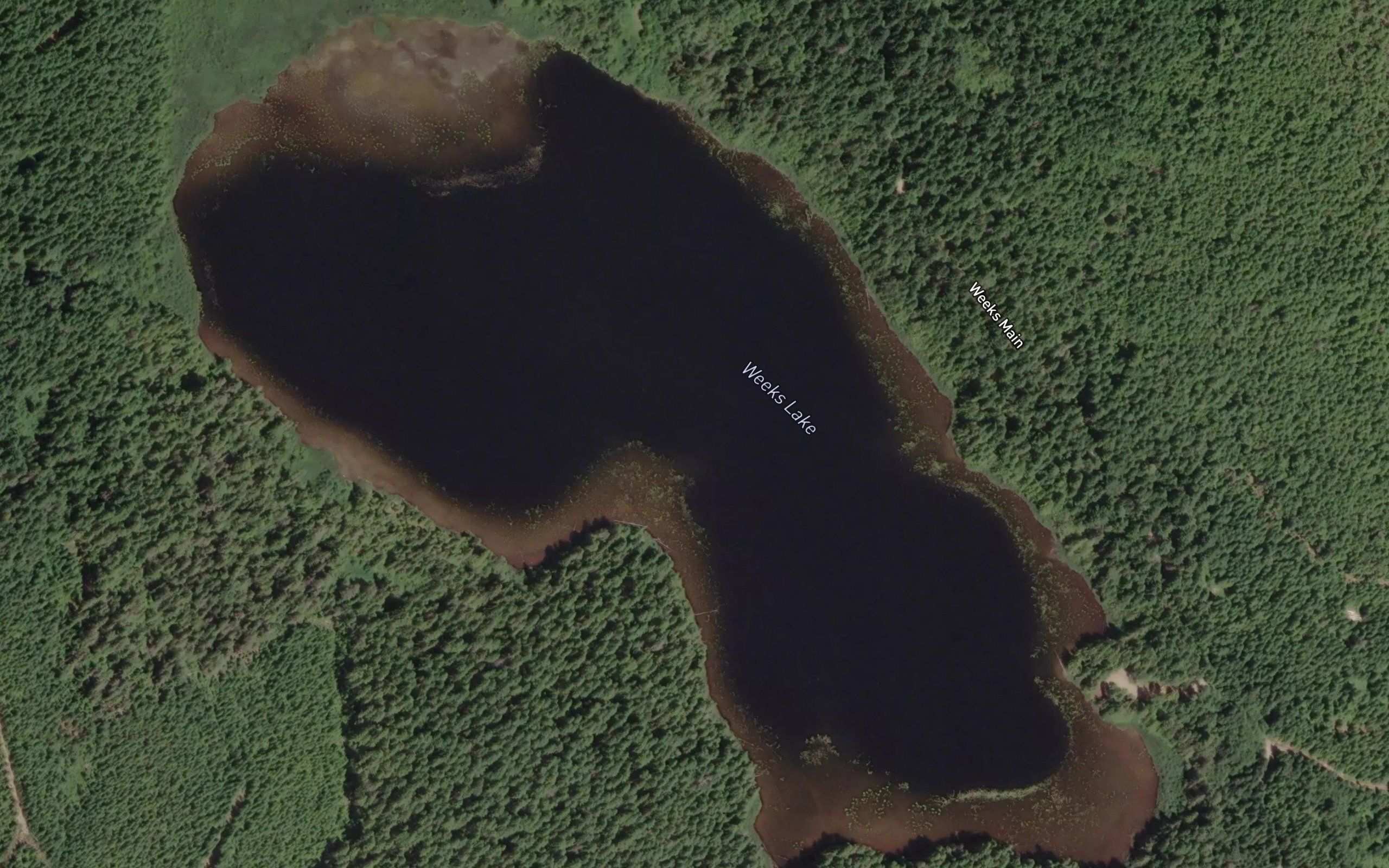 Weeks Lake