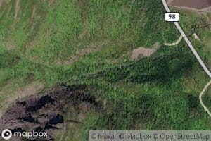 Neselva