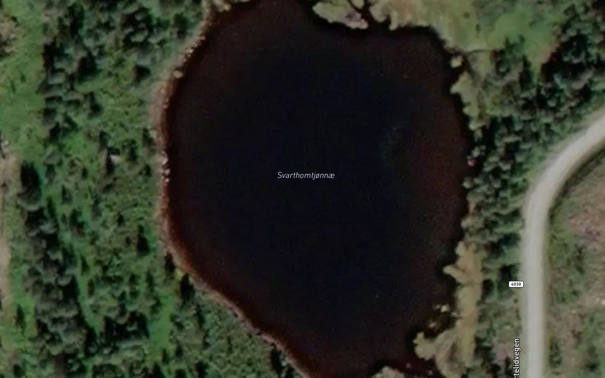 Svarthomtjonnae