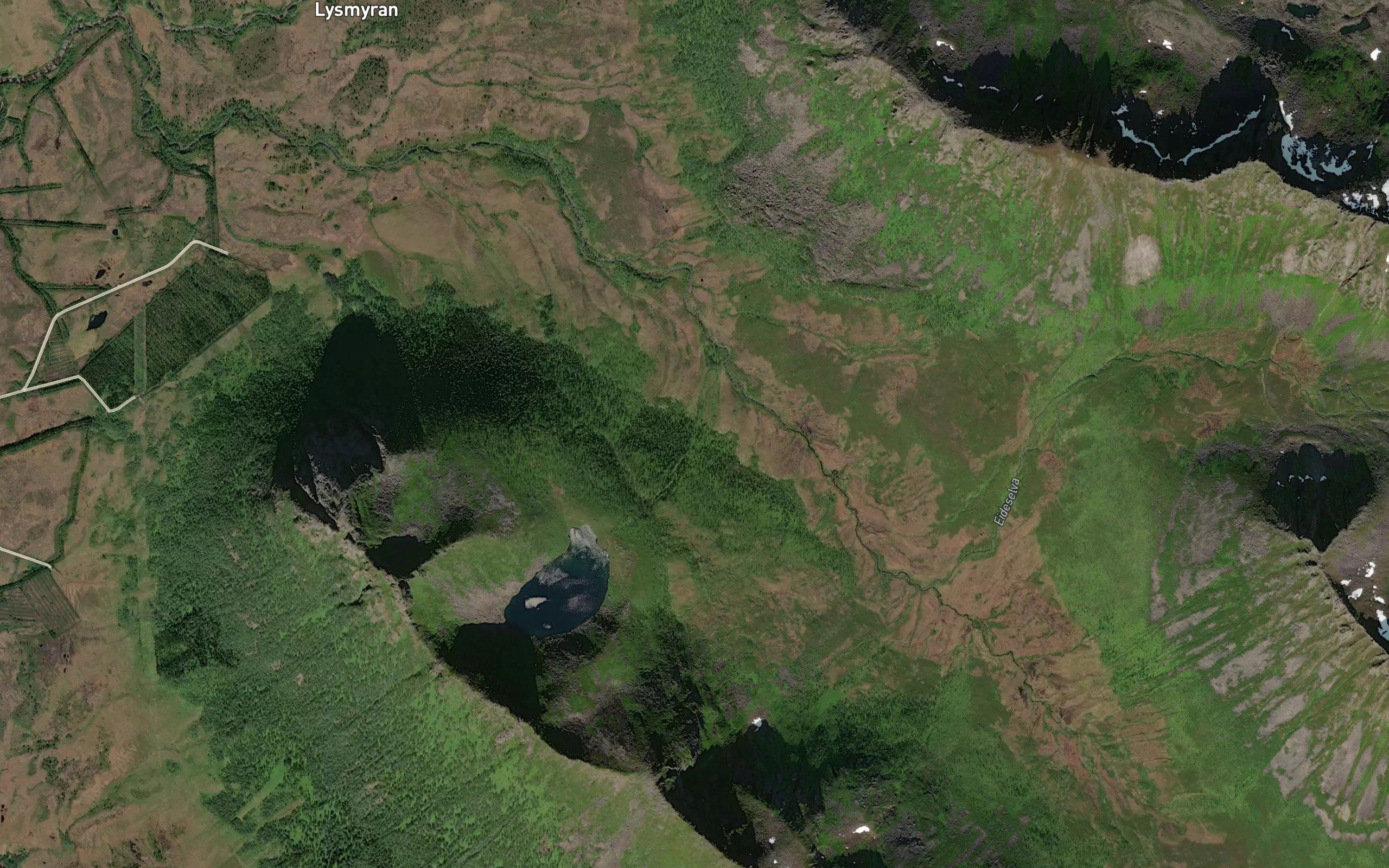 Knurrvasselva
