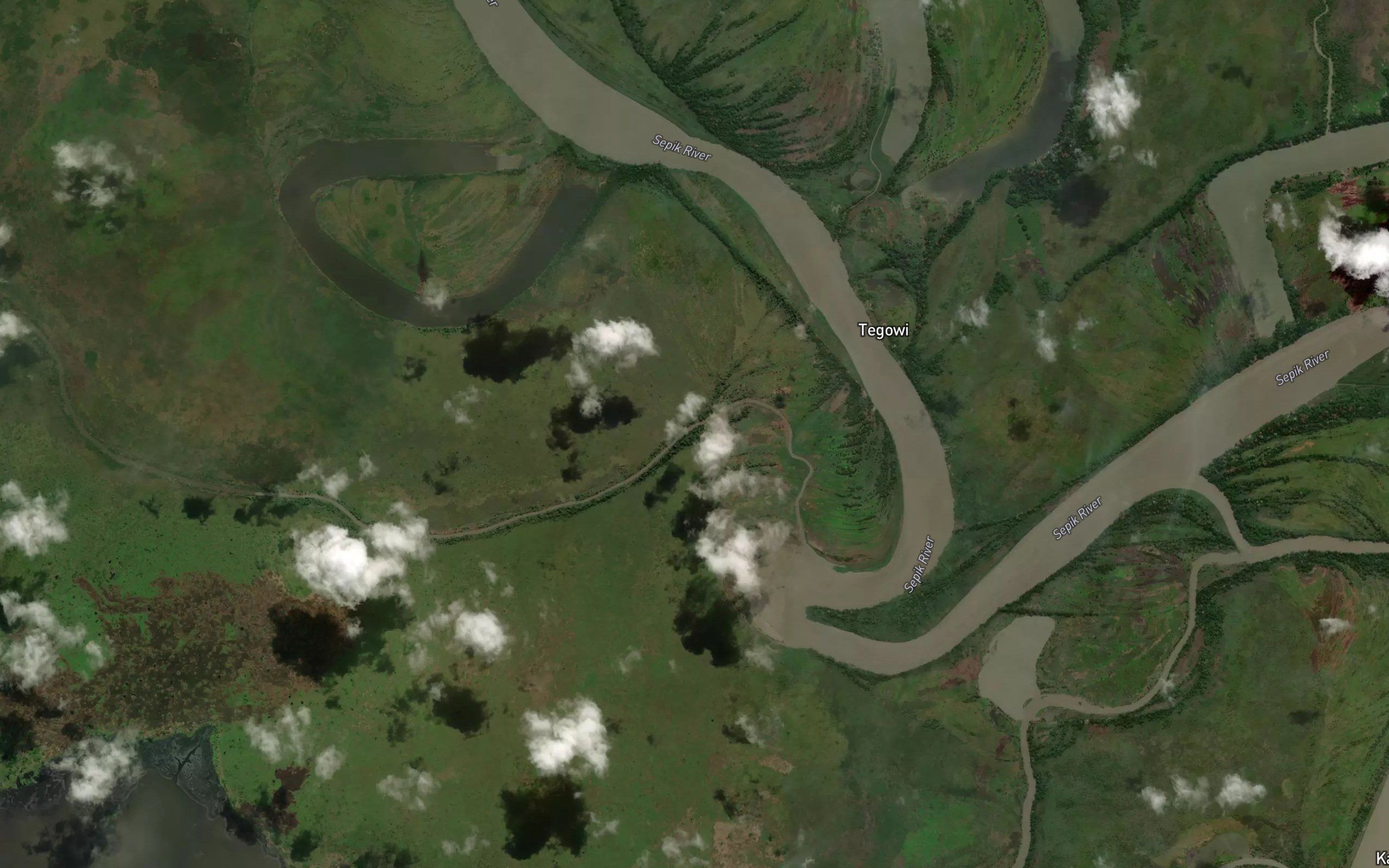 Swamp River