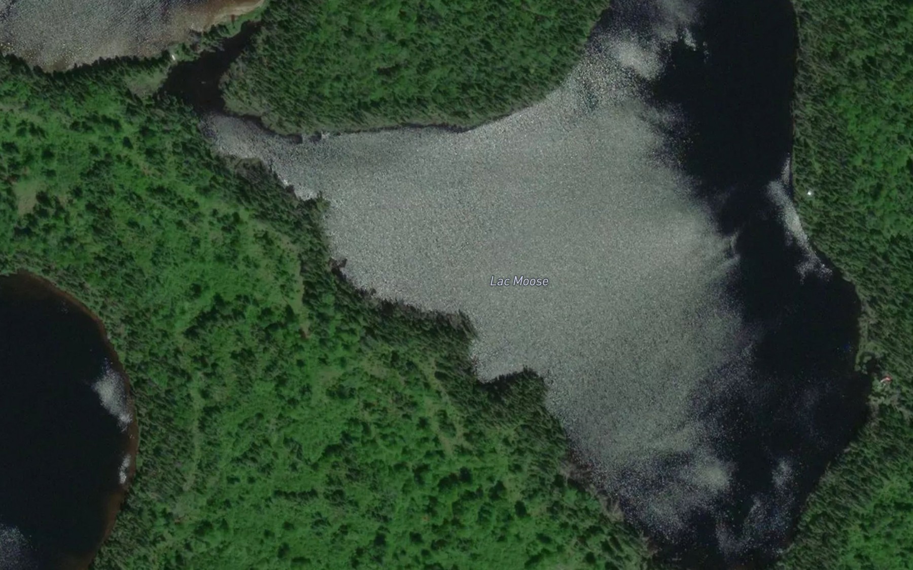 Satellite map of the Lac Moose