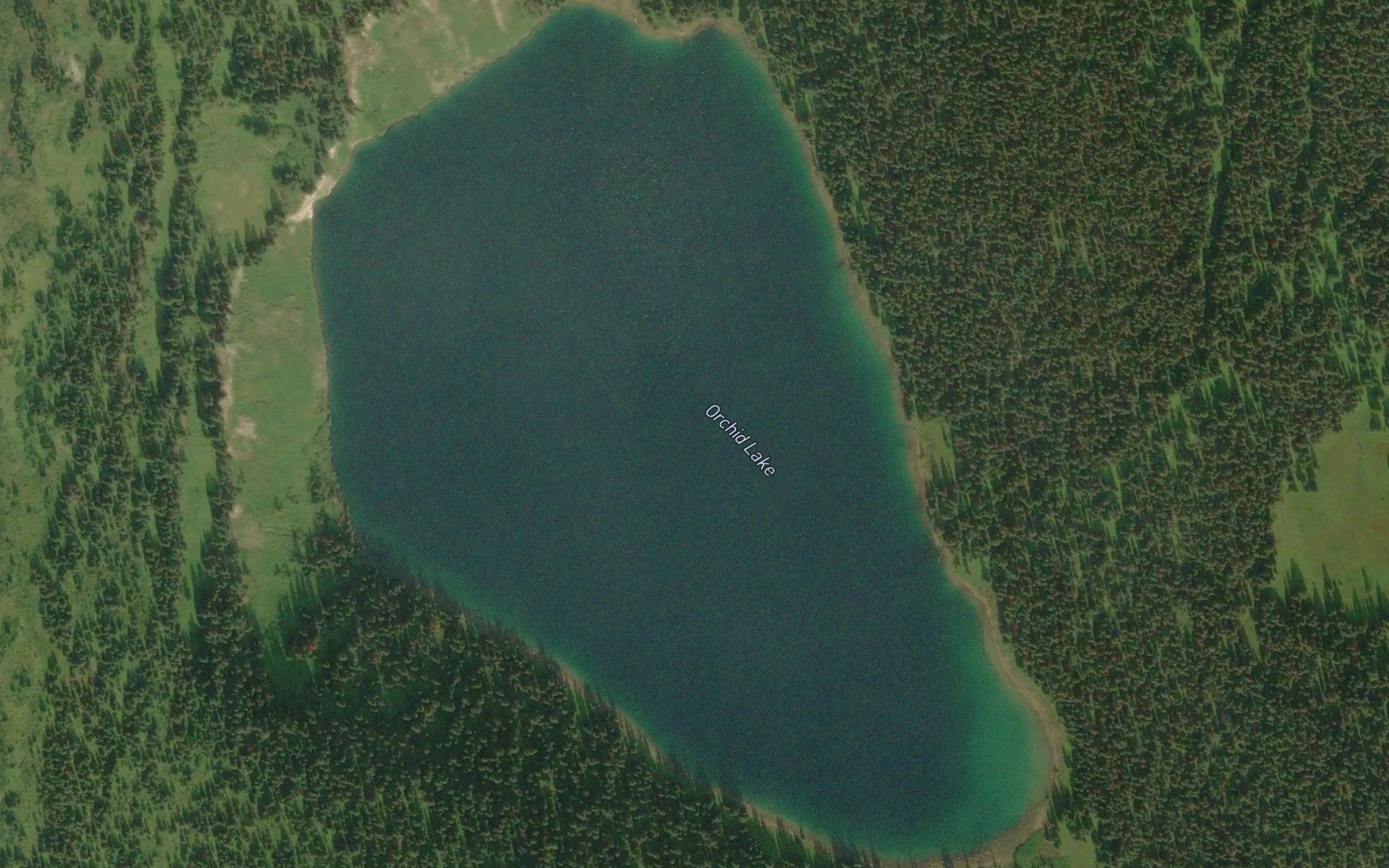 Orchid Lake