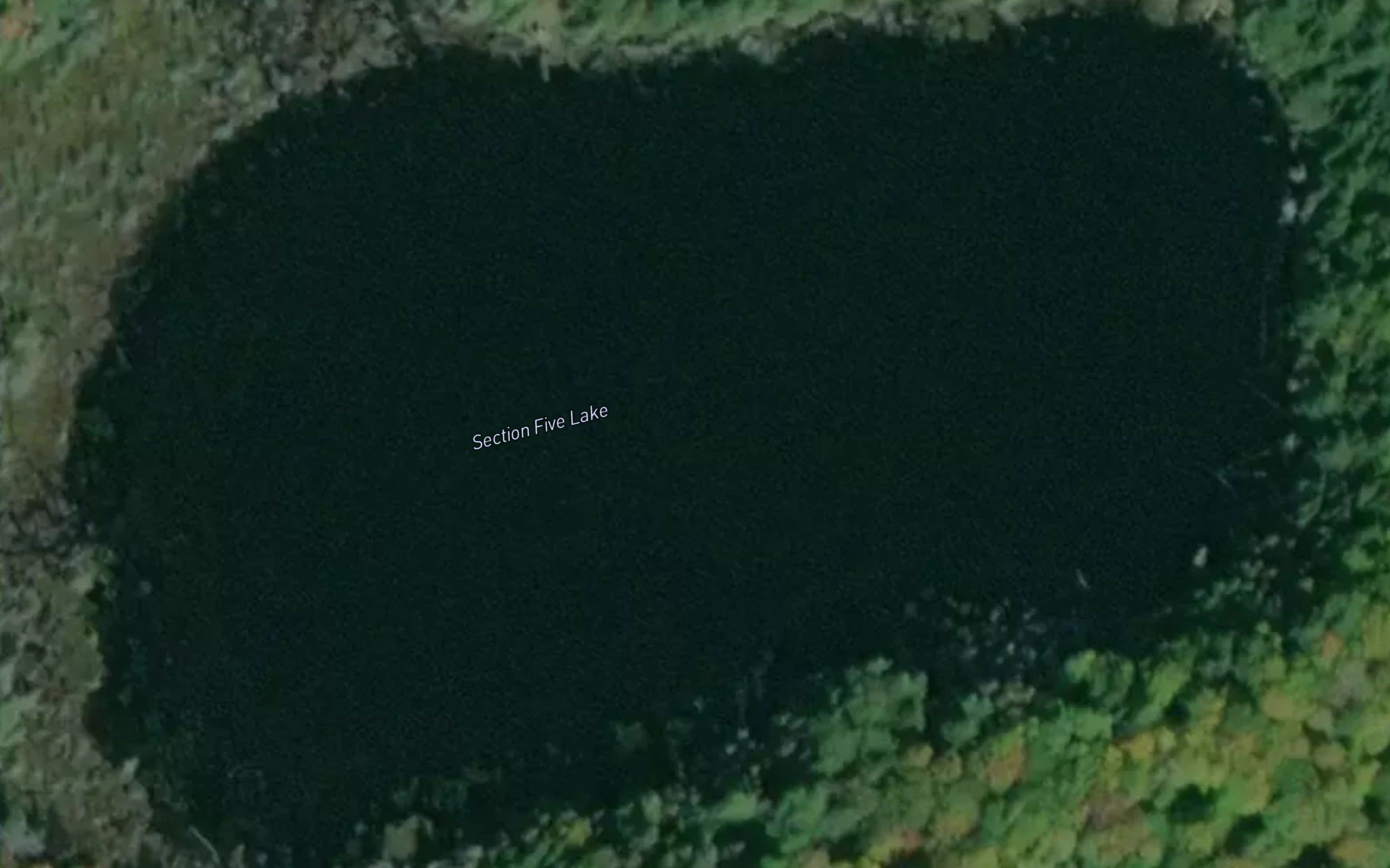 Section Five Lake