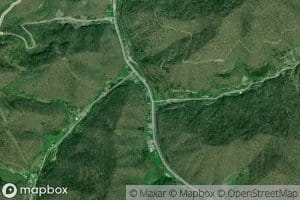 Owl Branch