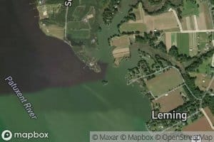 Buzzard Island Creek