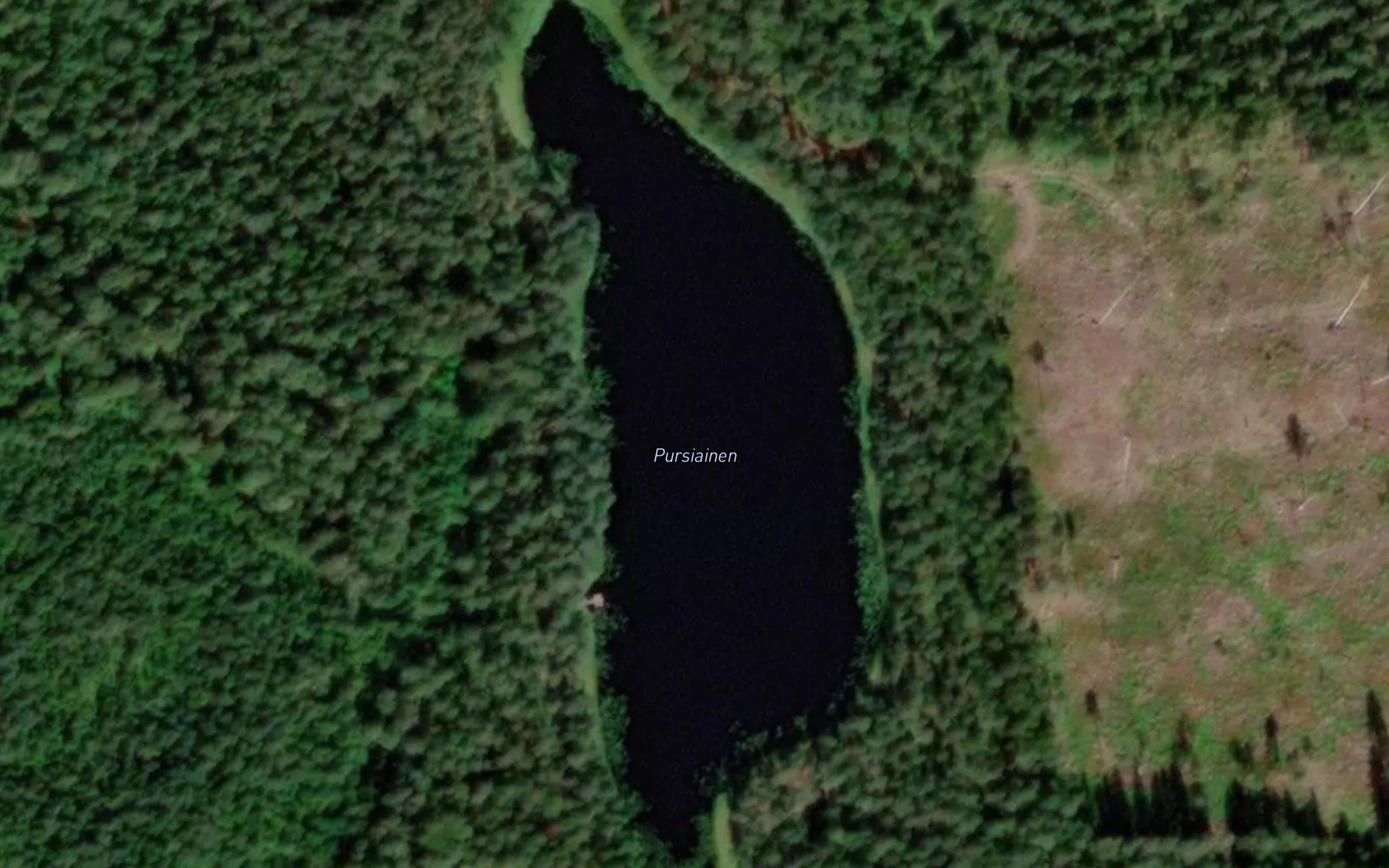 Pursiainen