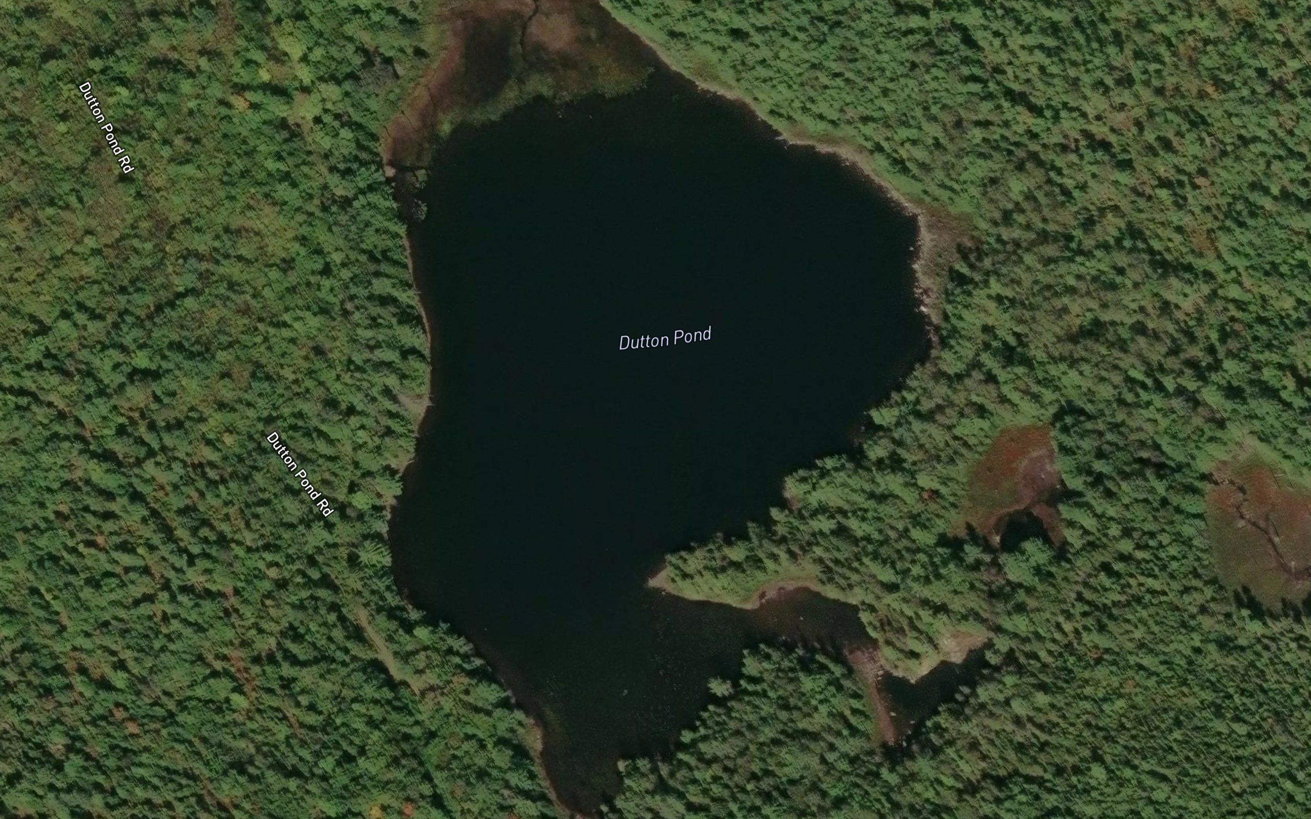Dutton Pond
