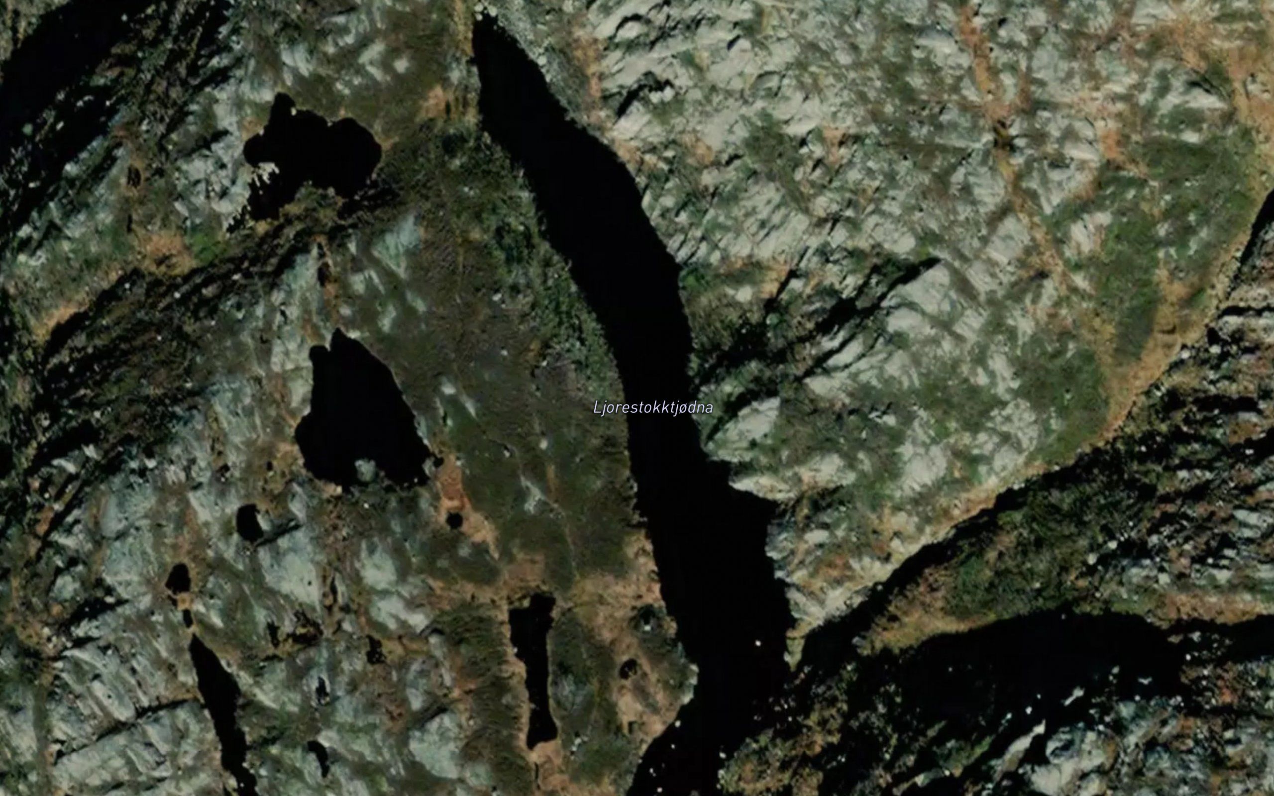 Ljorestokktjodna