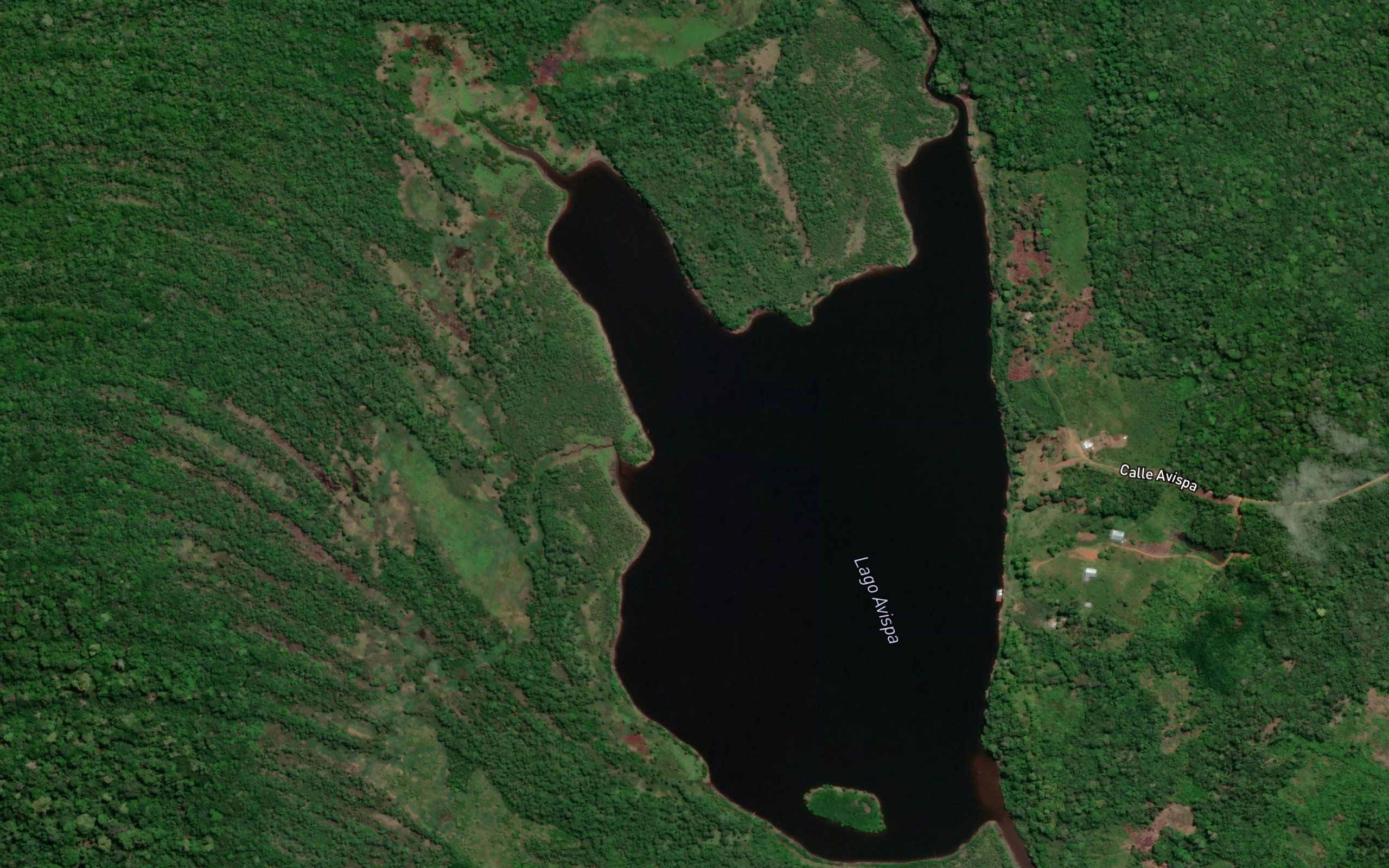 Laguna Avispa