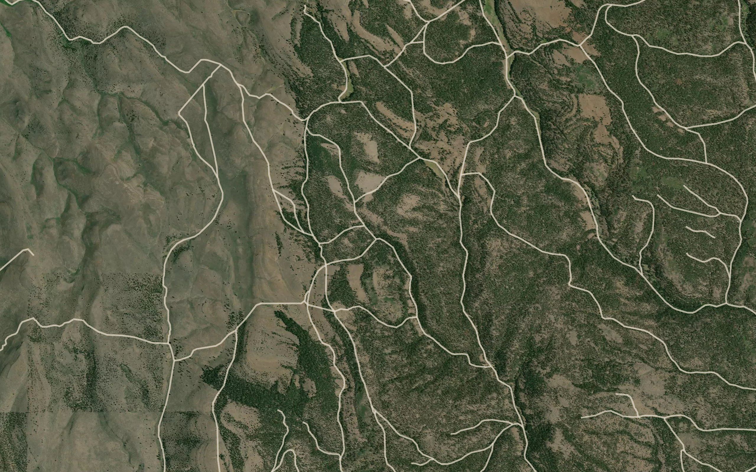 Buck Mountain Spring