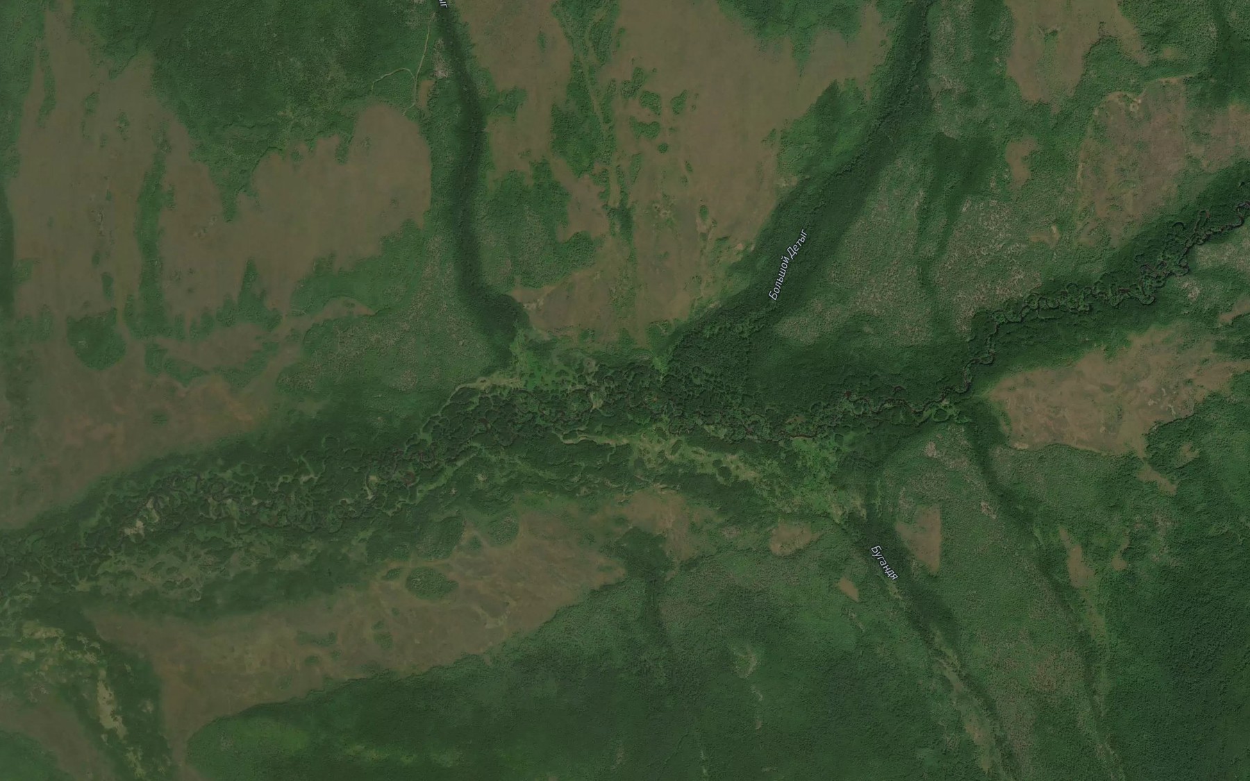 Satellite map of the Bol'shoy Detyg
