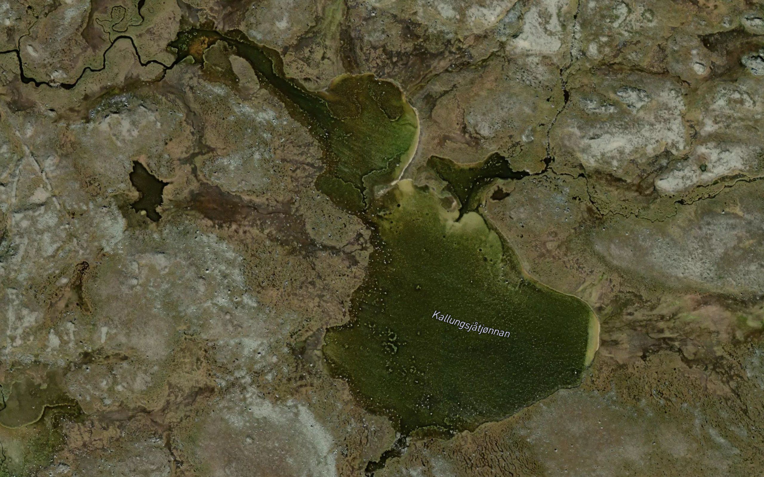 Kallungsjatjonnan