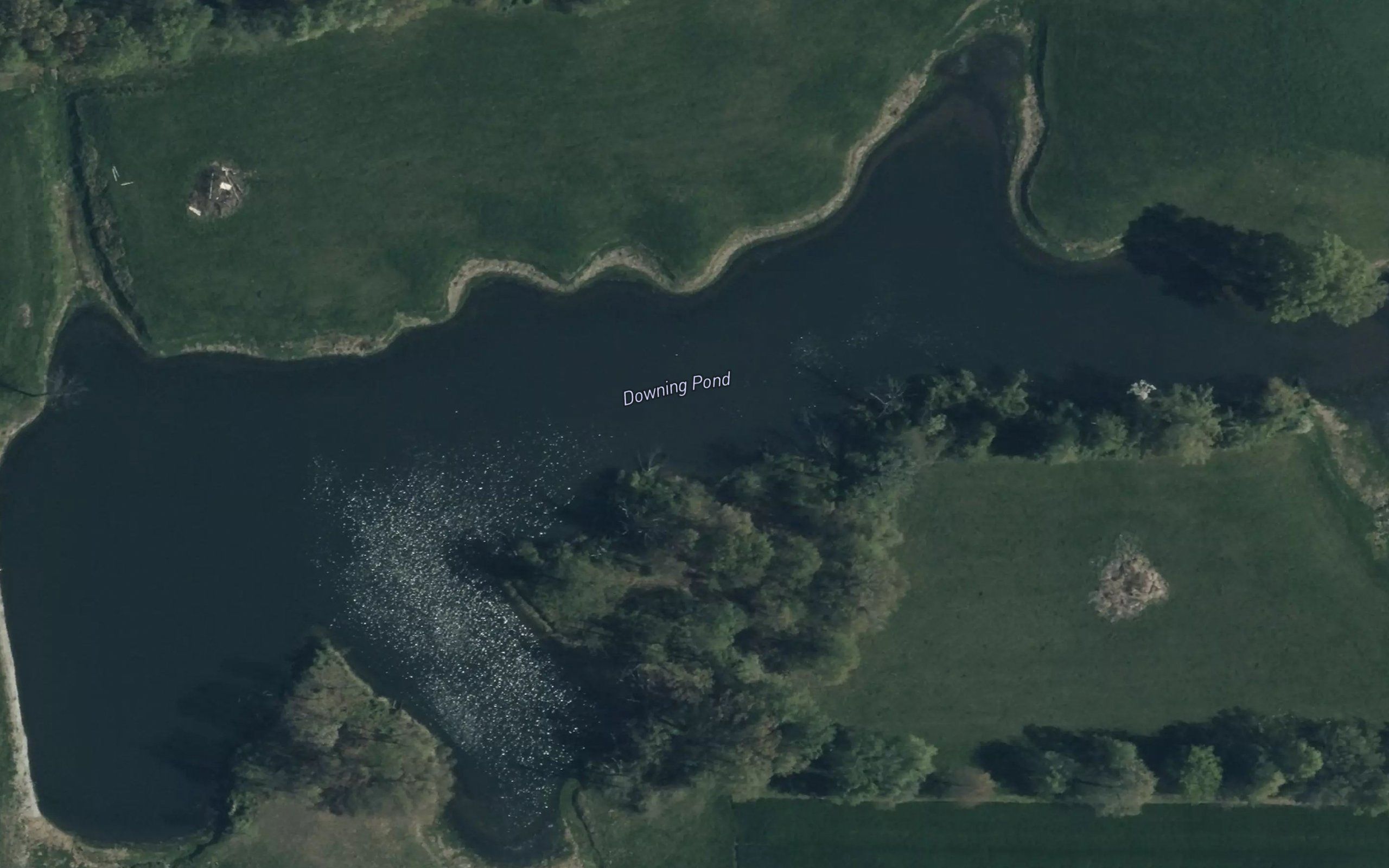 Downing Pond