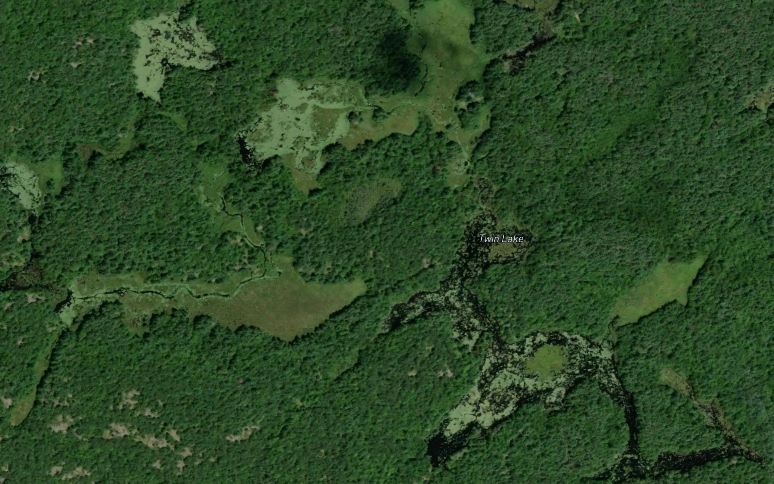 Twin Lake