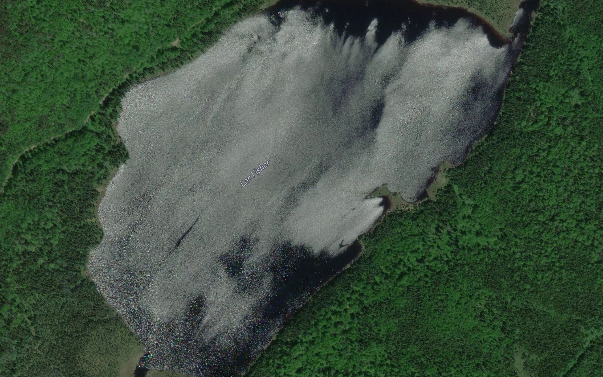 Lac Fisher