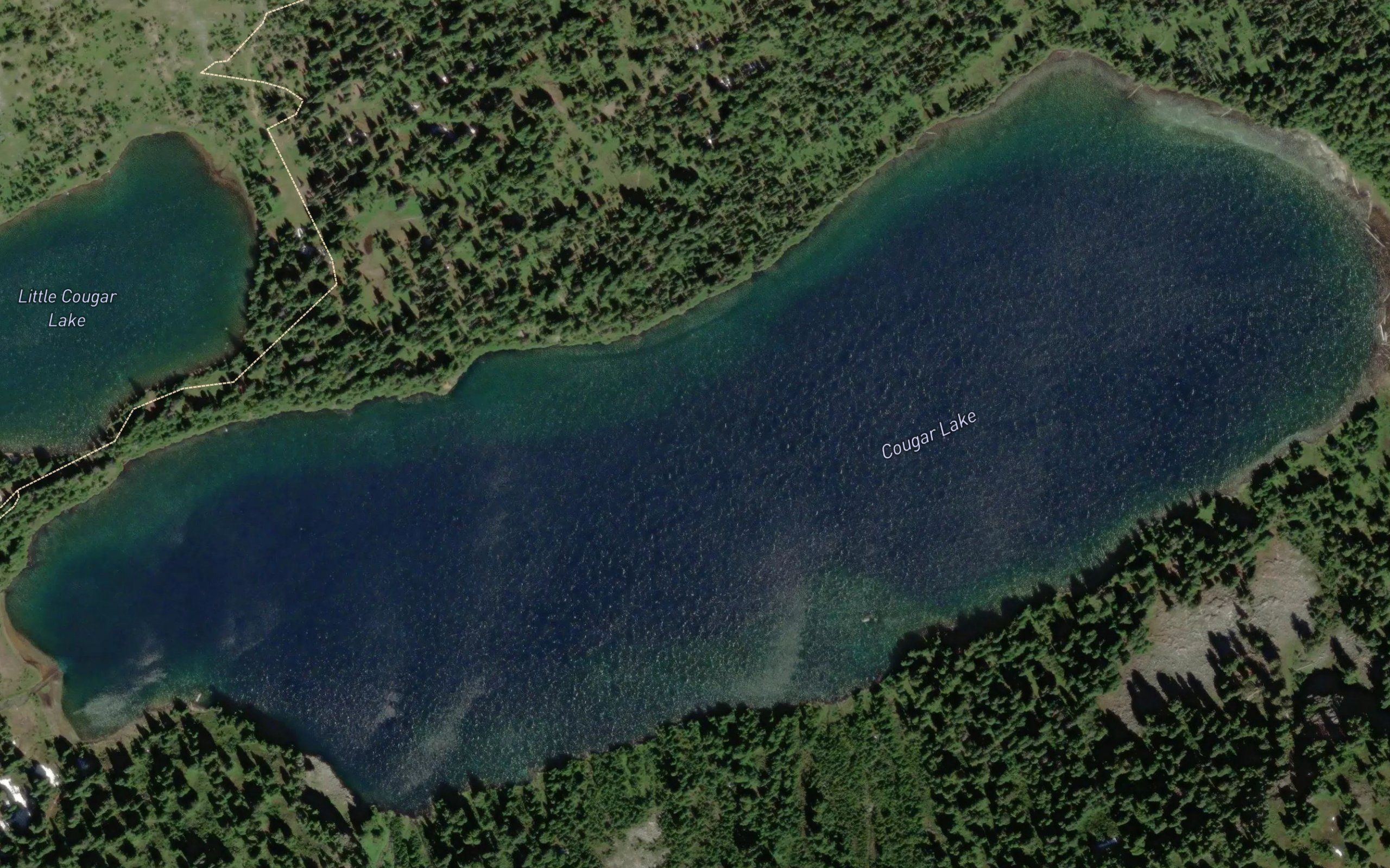 Cougar Lake