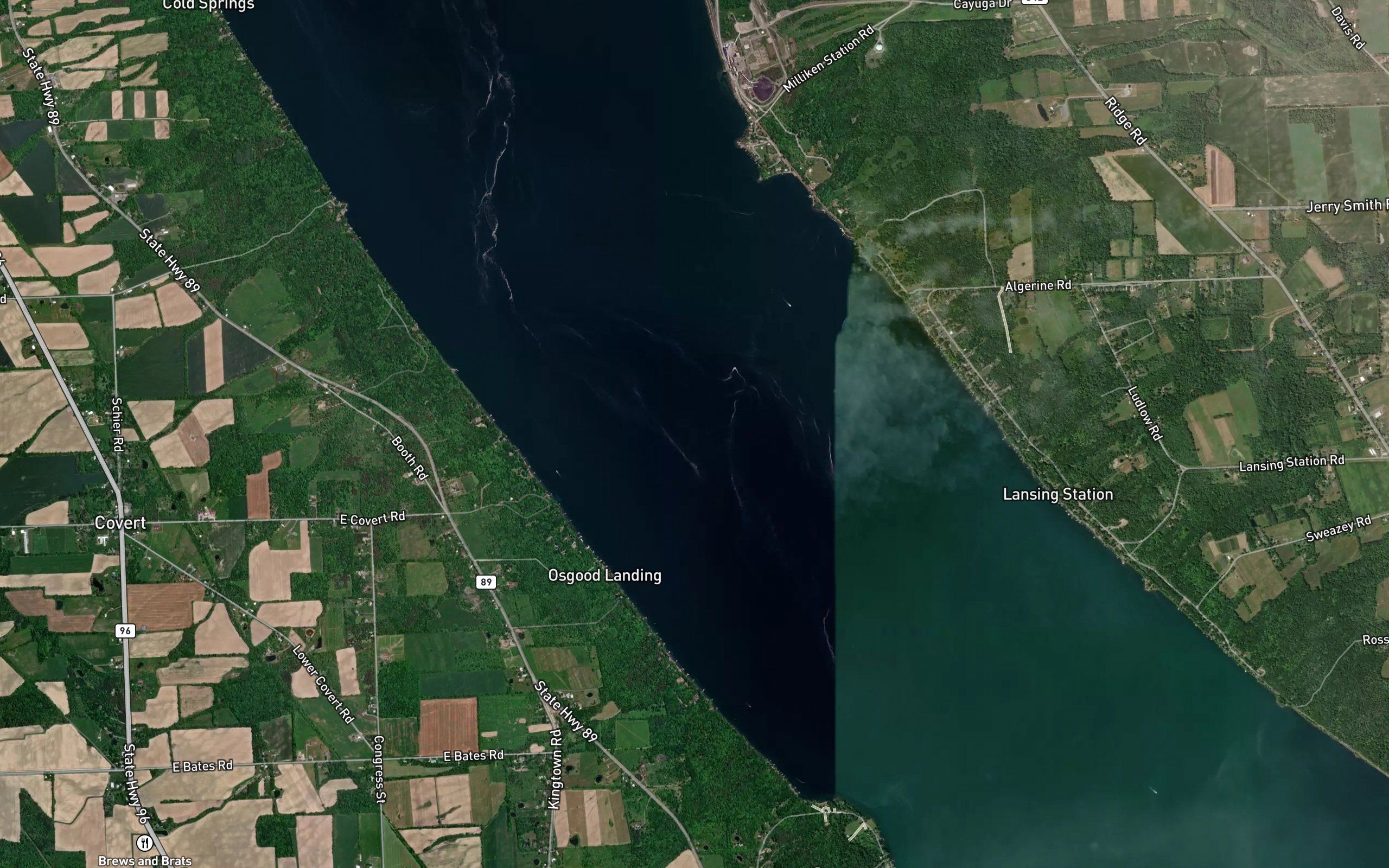 Cayuga Lake