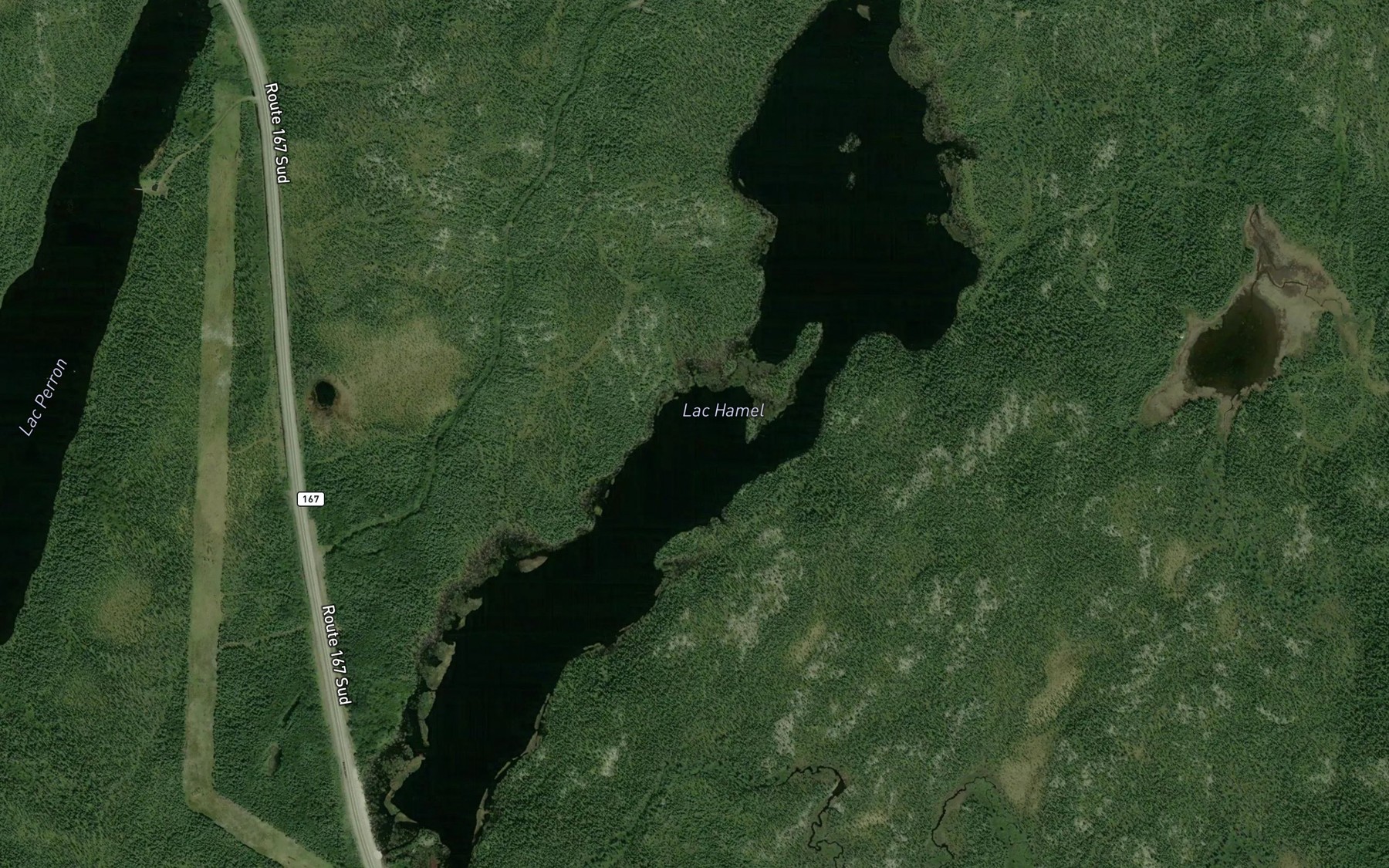 Satellite map of the Lac Hamel