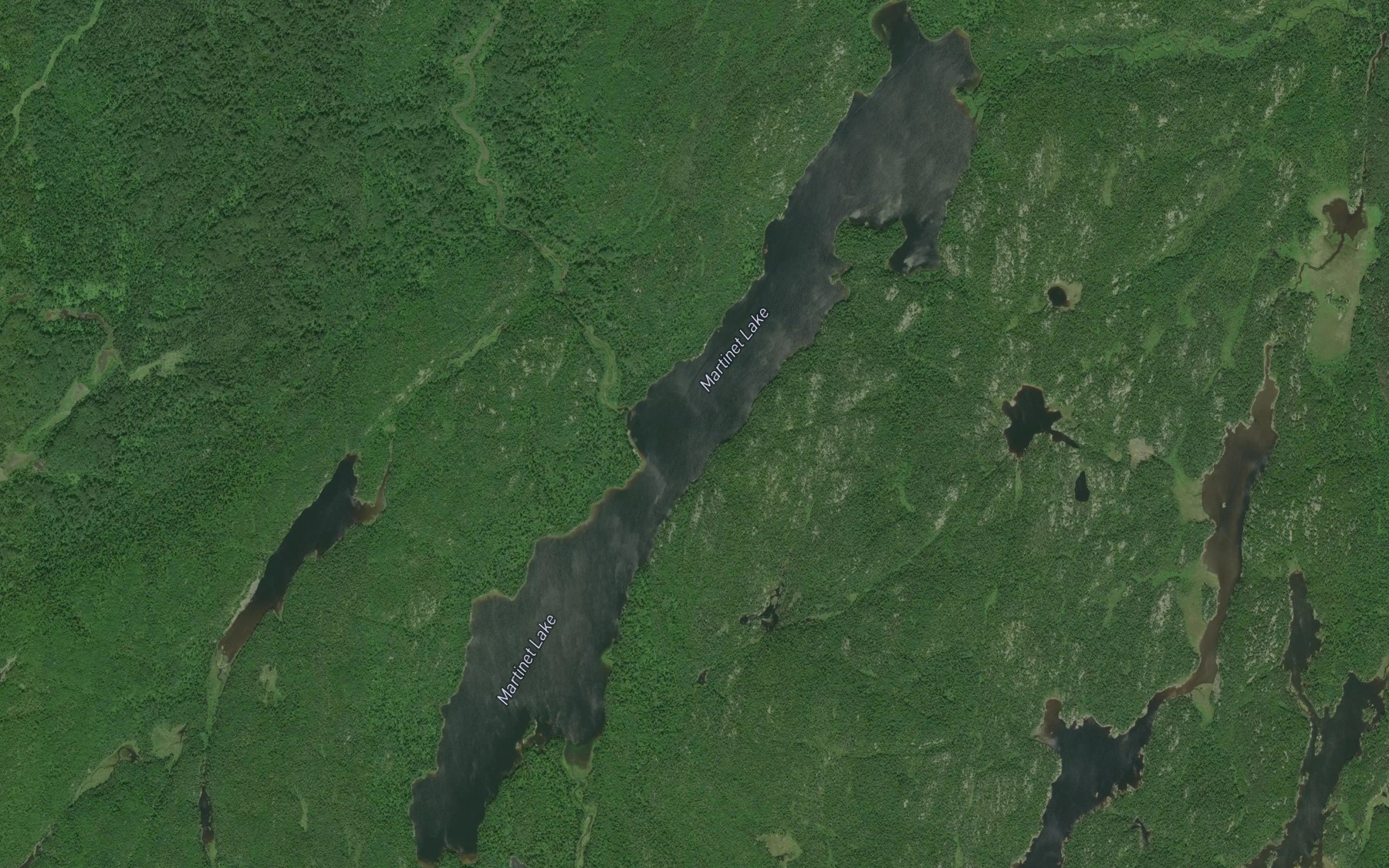 Satellite map of the Martinet Lake