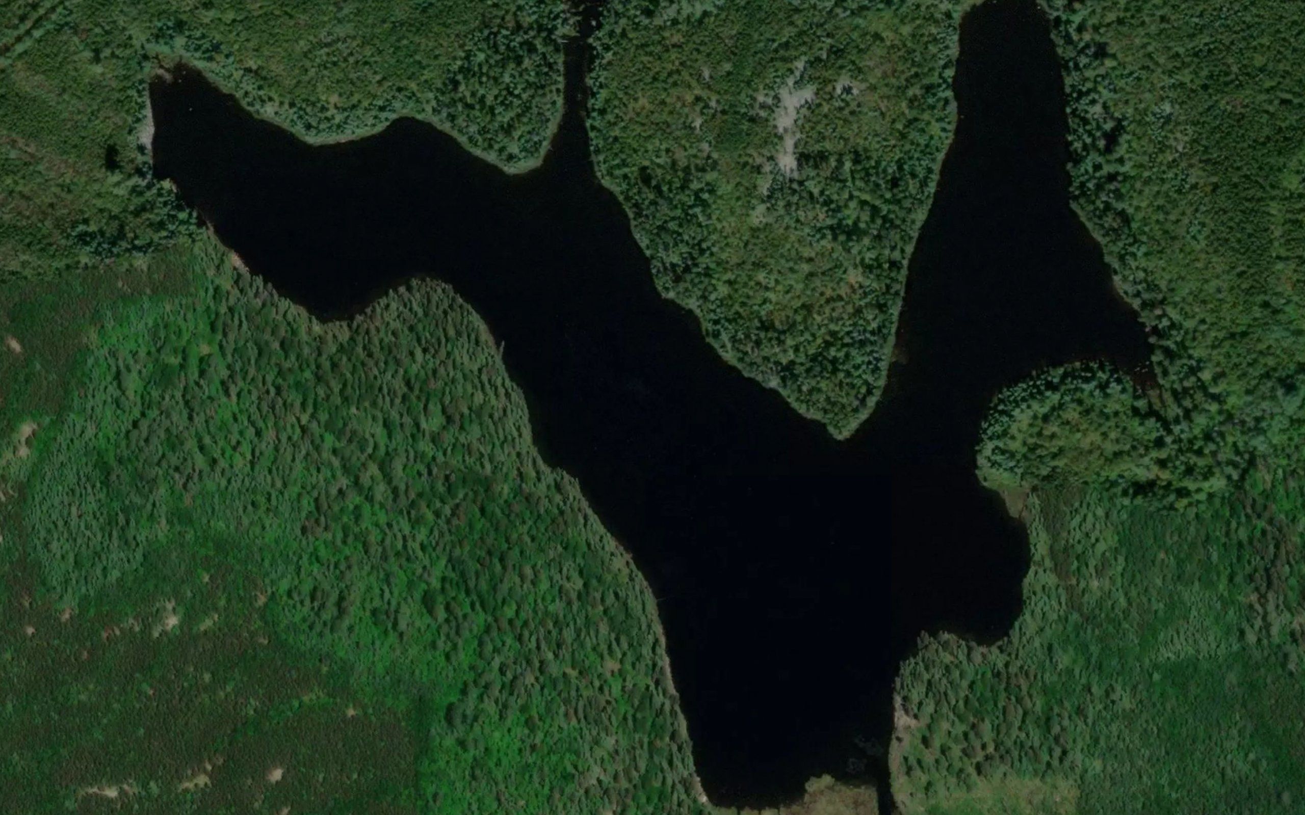 Between Lake