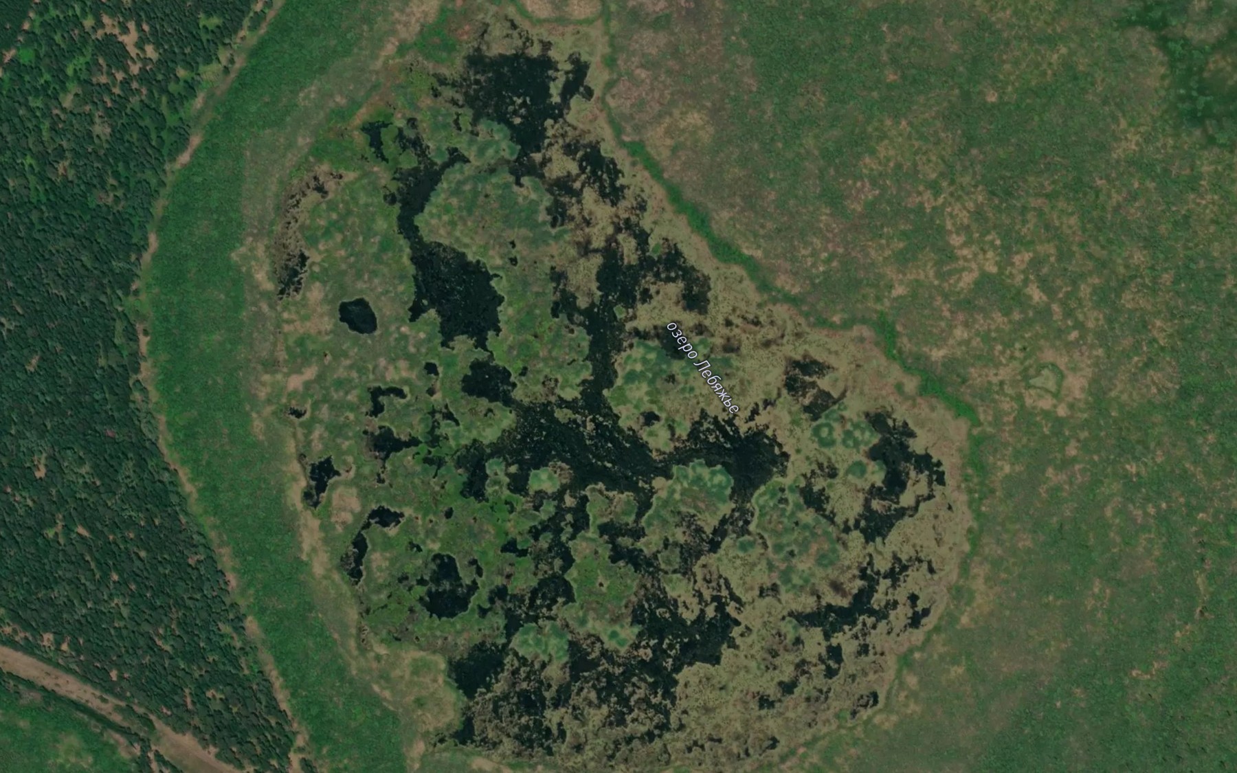 Satellite map of the Ozero Lebyazh'ye
