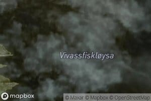 Vivassfiskloysa