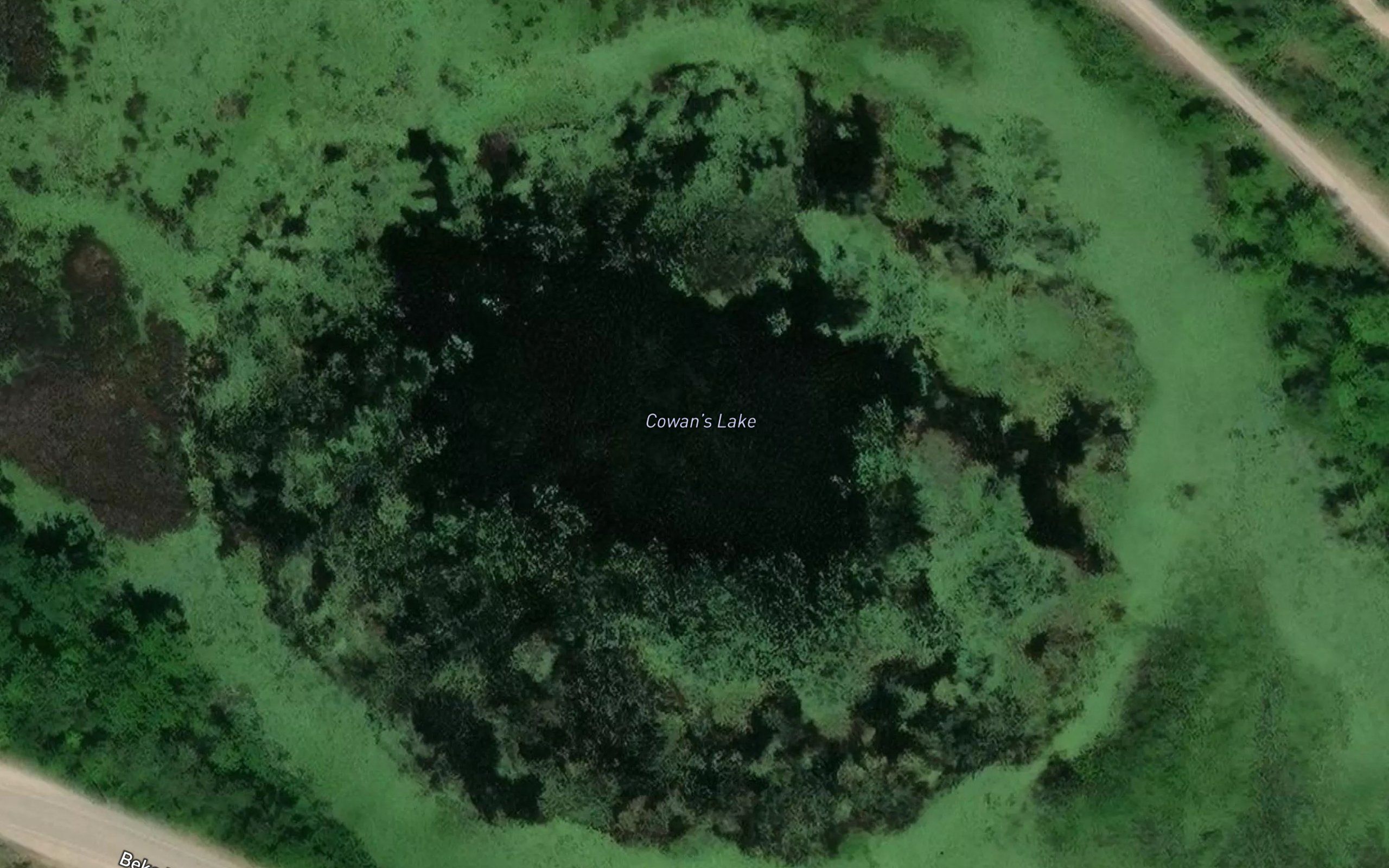 Cowan's Lake