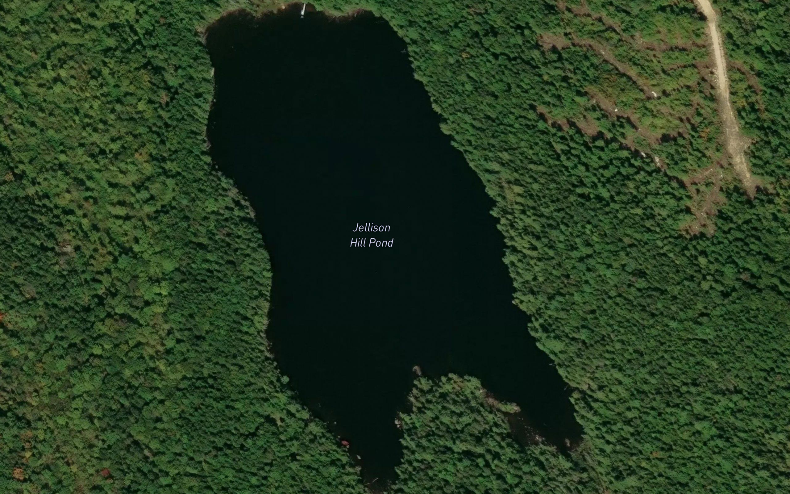 Jellison Hill Pond