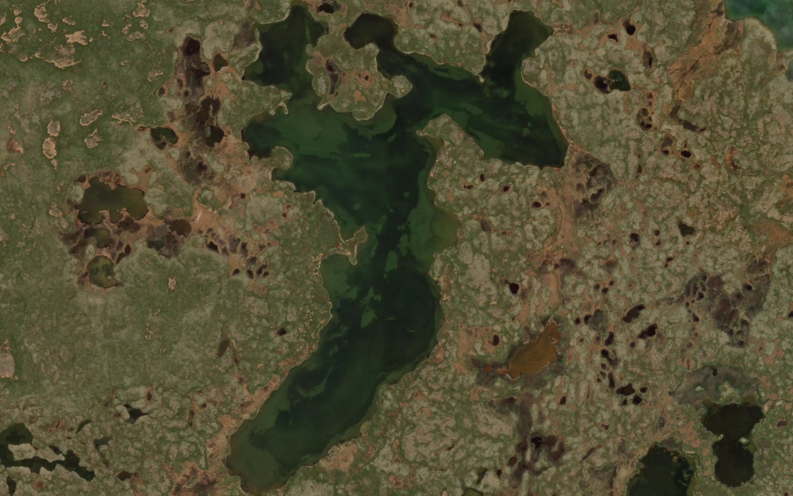 Arnarvatn